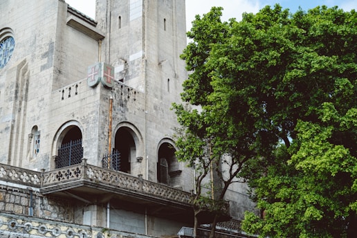 A historic stone building with arched windows and a shield emblem on its facade stands next to a large, lush green tree. The architecture has a medieval appearance with decorative elements and stained glass windows.