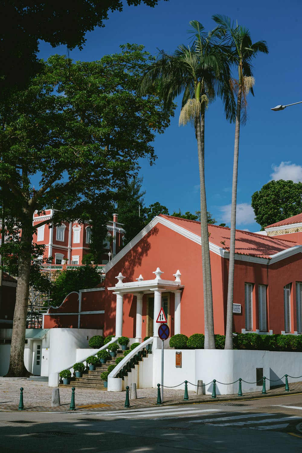 a building with a palm tree in front of it