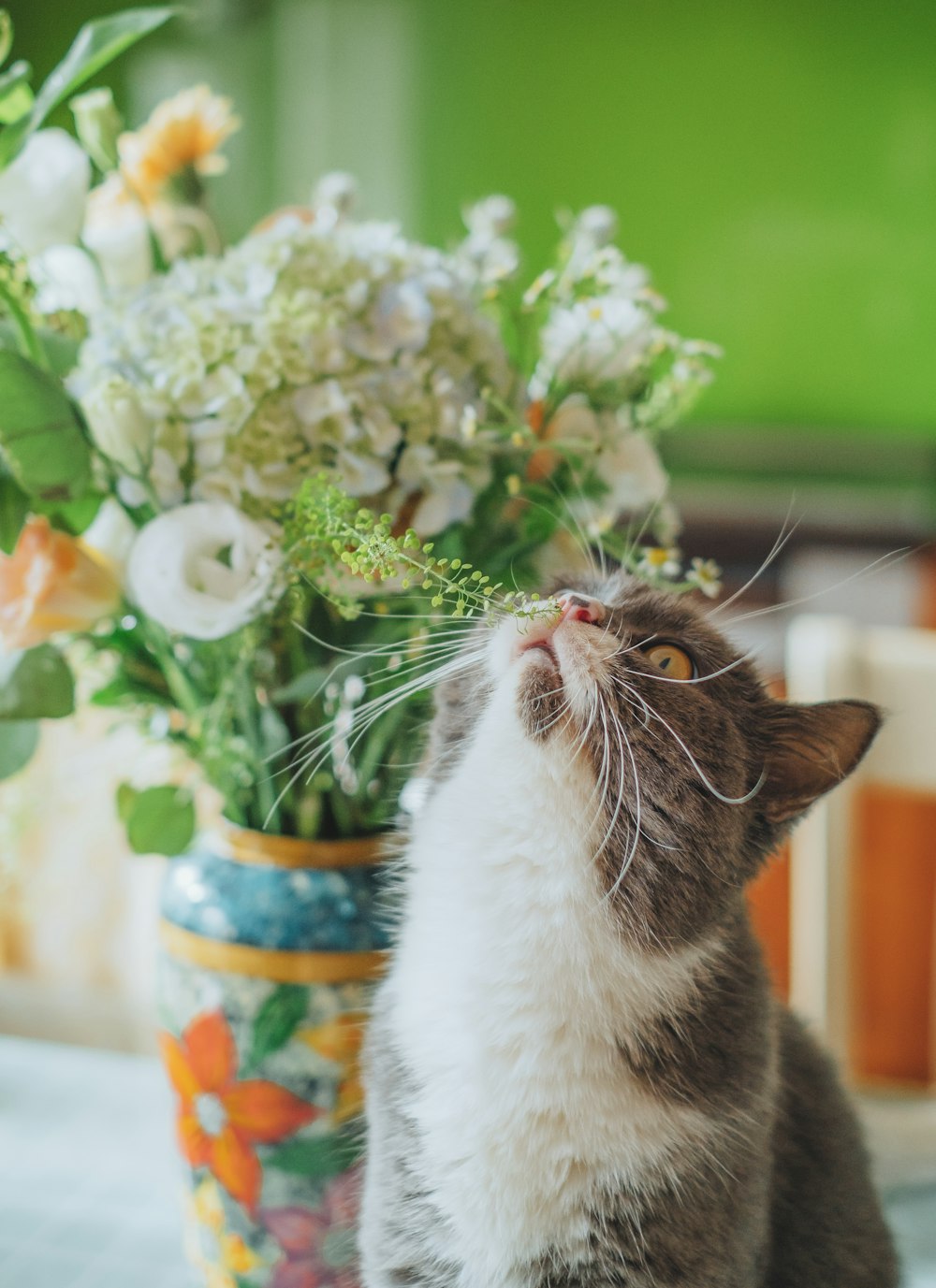 a gray and white cat sitting next to a vase filled with flowers
