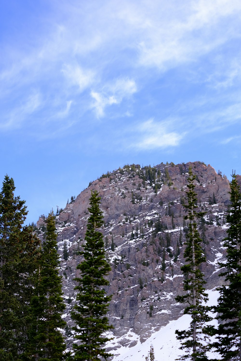 a snow covered mountain with trees in the foreground