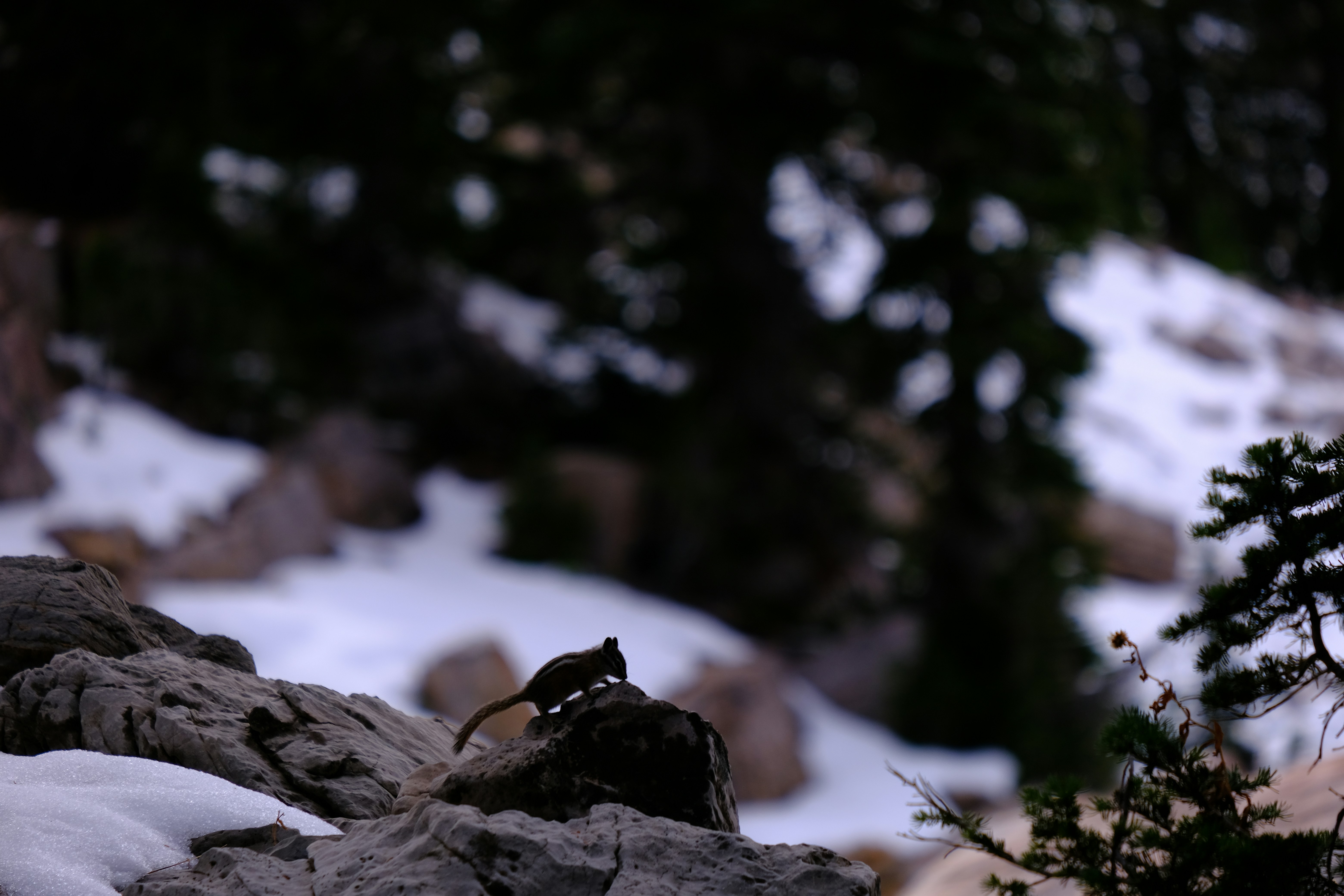 Articulo de ImagenMIA: Retratos corporativos: cómo destacar en tu CV