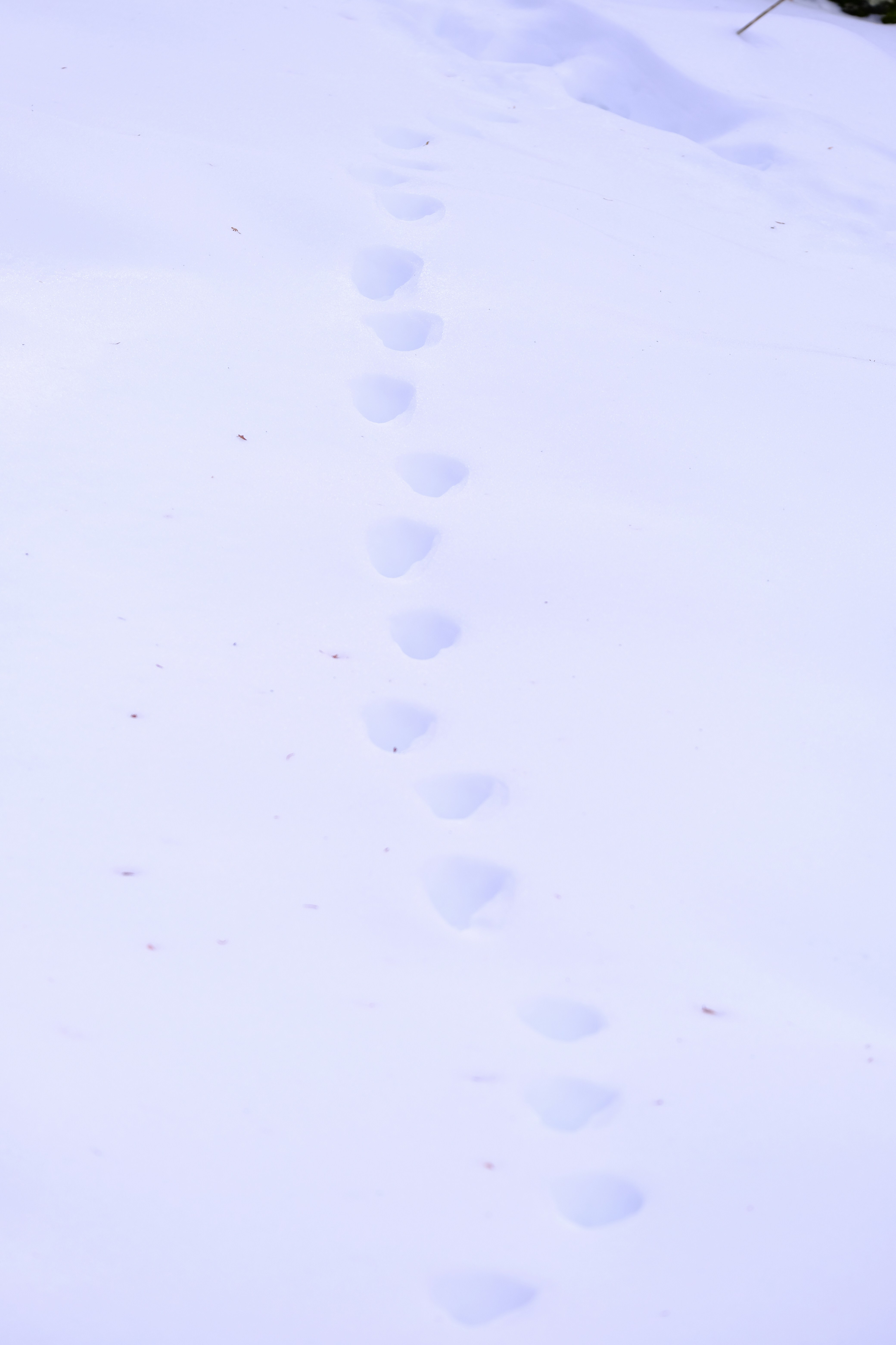 Photo by cestmoisheedy