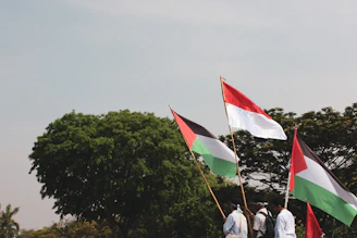 A vibrant gathering of Nigerian diaspora members waving green and white flags under a clear blue sky.