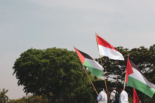 A vibrant gathering of Nigerian diaspora members waving green and white flags under a clear blue sky.