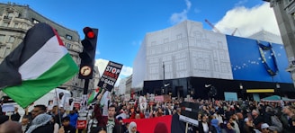A large crowd gathers in a city street, holding signs and flags during a protest. The protestors appear passionate, with banners addressing political issues. The backdrop features urban architecture, a traffic light, and clear blue skies.