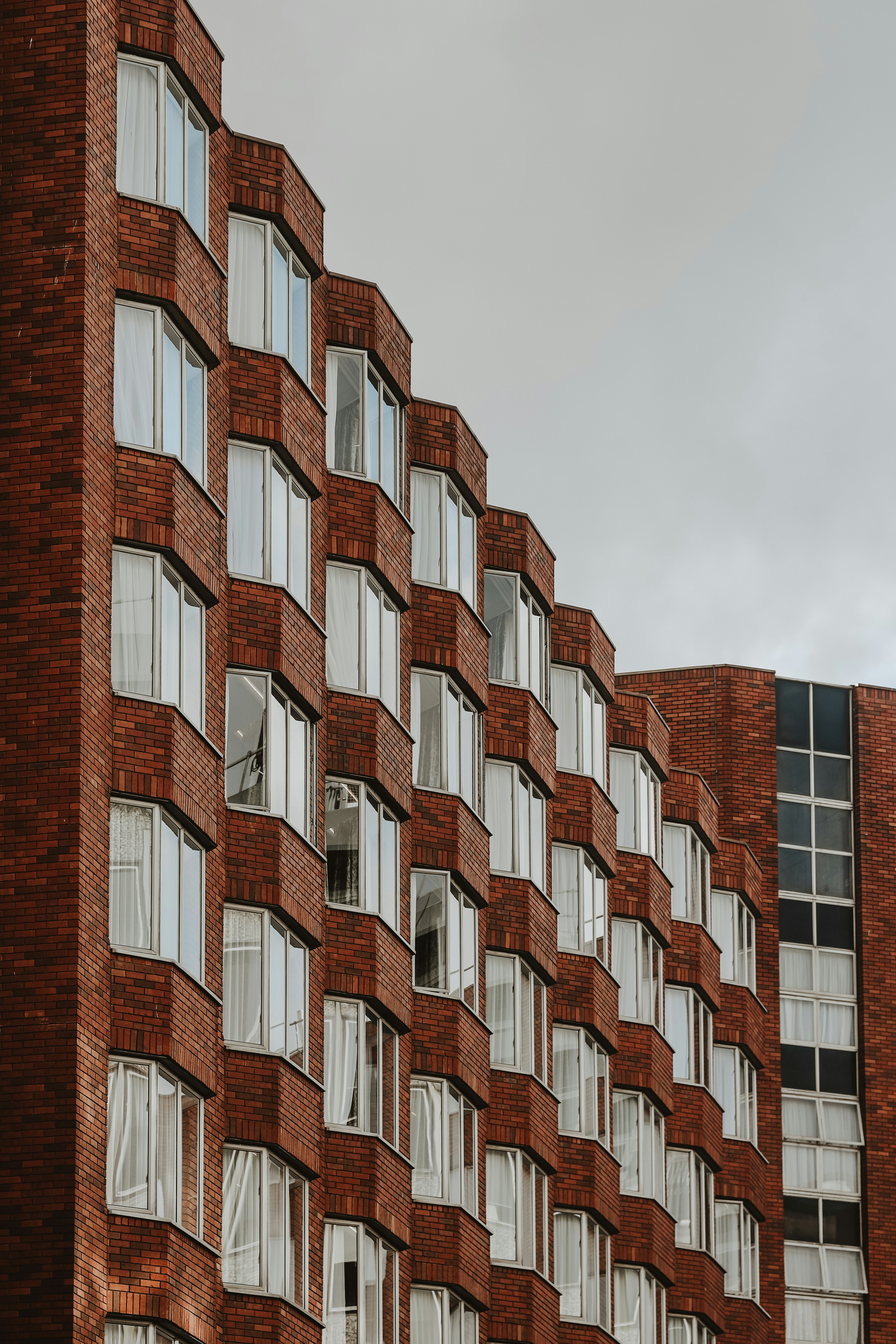 Photo by himo_beast1996