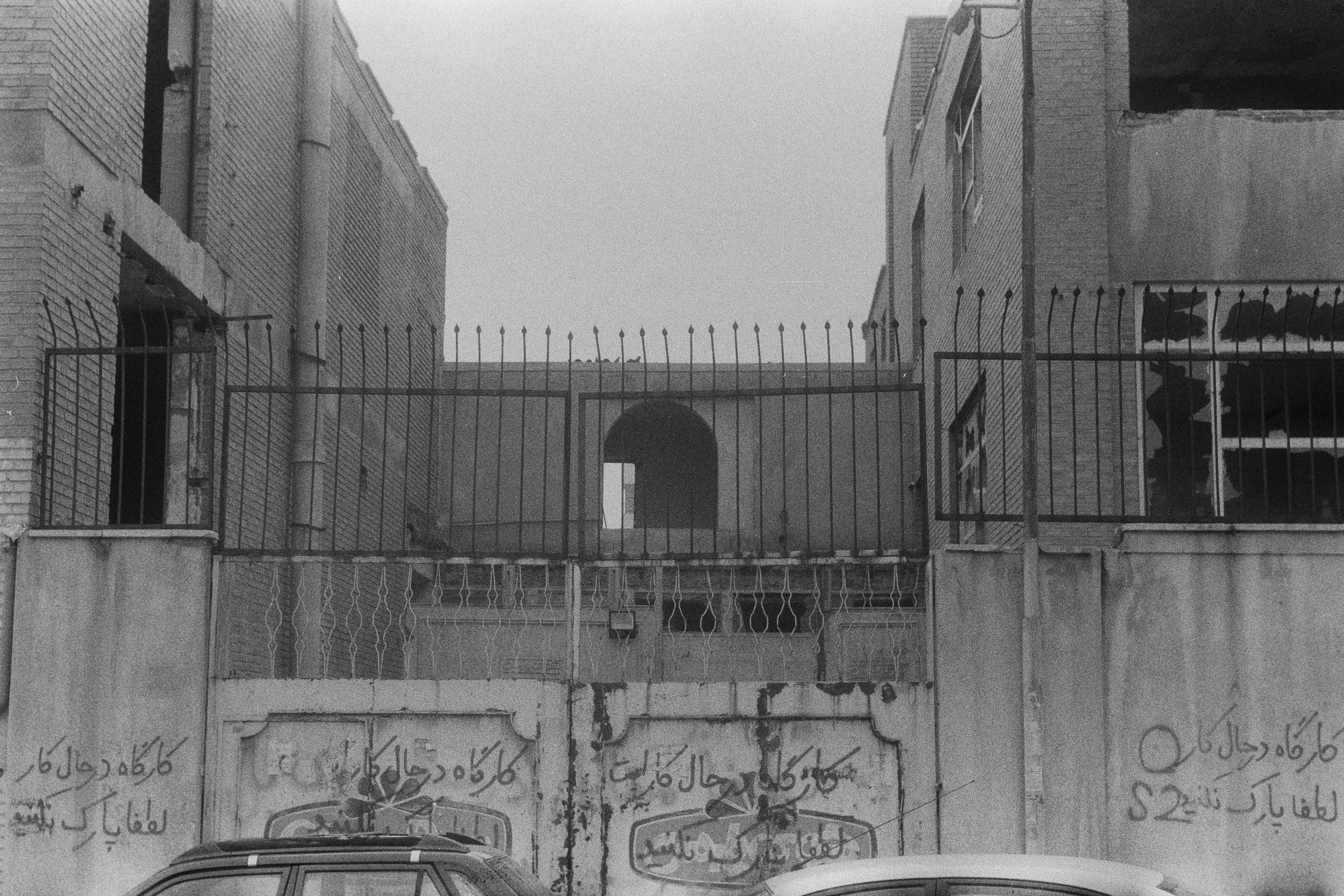 Photo by anitarahalzadeh