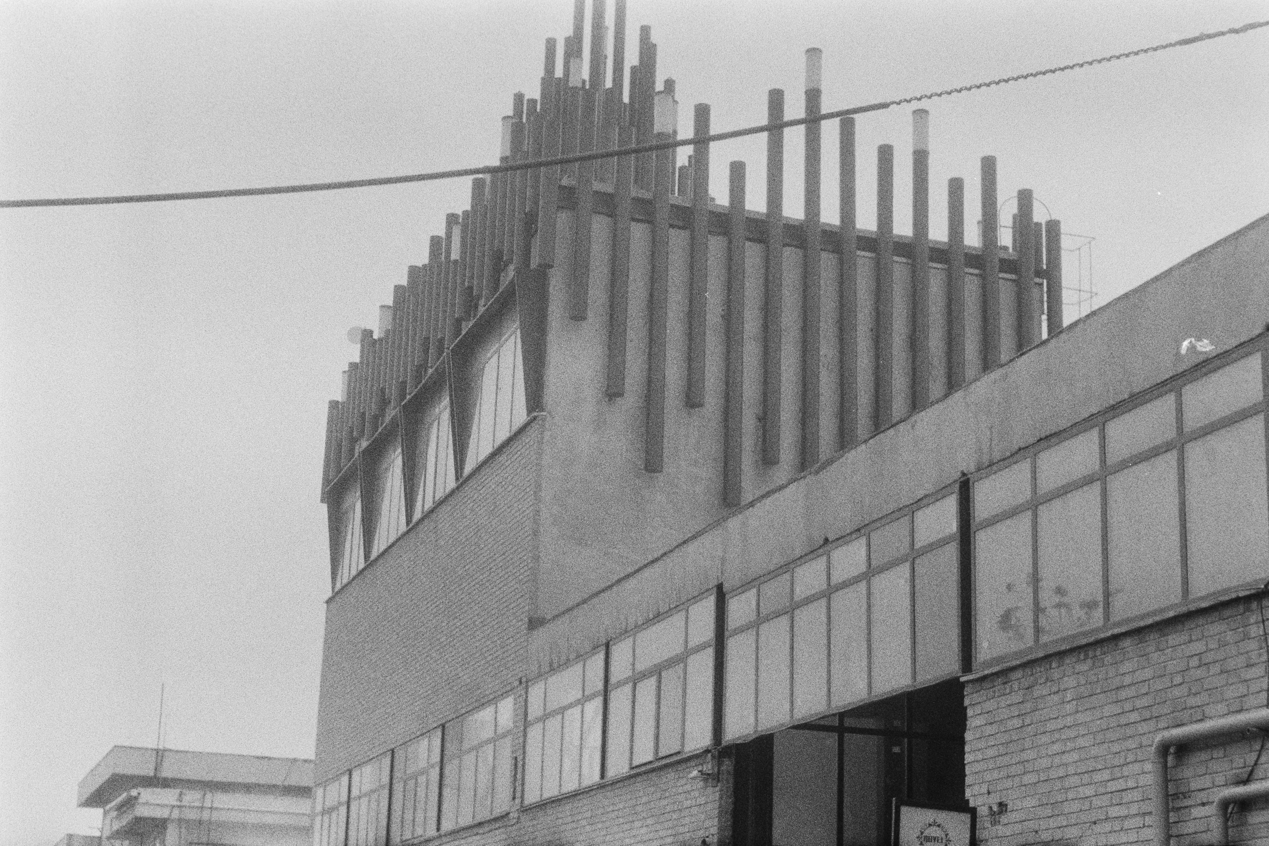 Photo by anitarahalzadeh