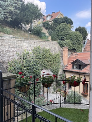 A charming courtyard scene featuring a stone pathway and several hanging flower pots with red blossoms. The area is enclosed by a black wrought iron fence. The background consists of a stone retaining wall covered with lush green ivy and other vegetation. Above, a couple of house roofs with red tiles are visible against a bright blue sky with scattered clouds. The overall scene conveys a peaceful and picturesque residential setting.