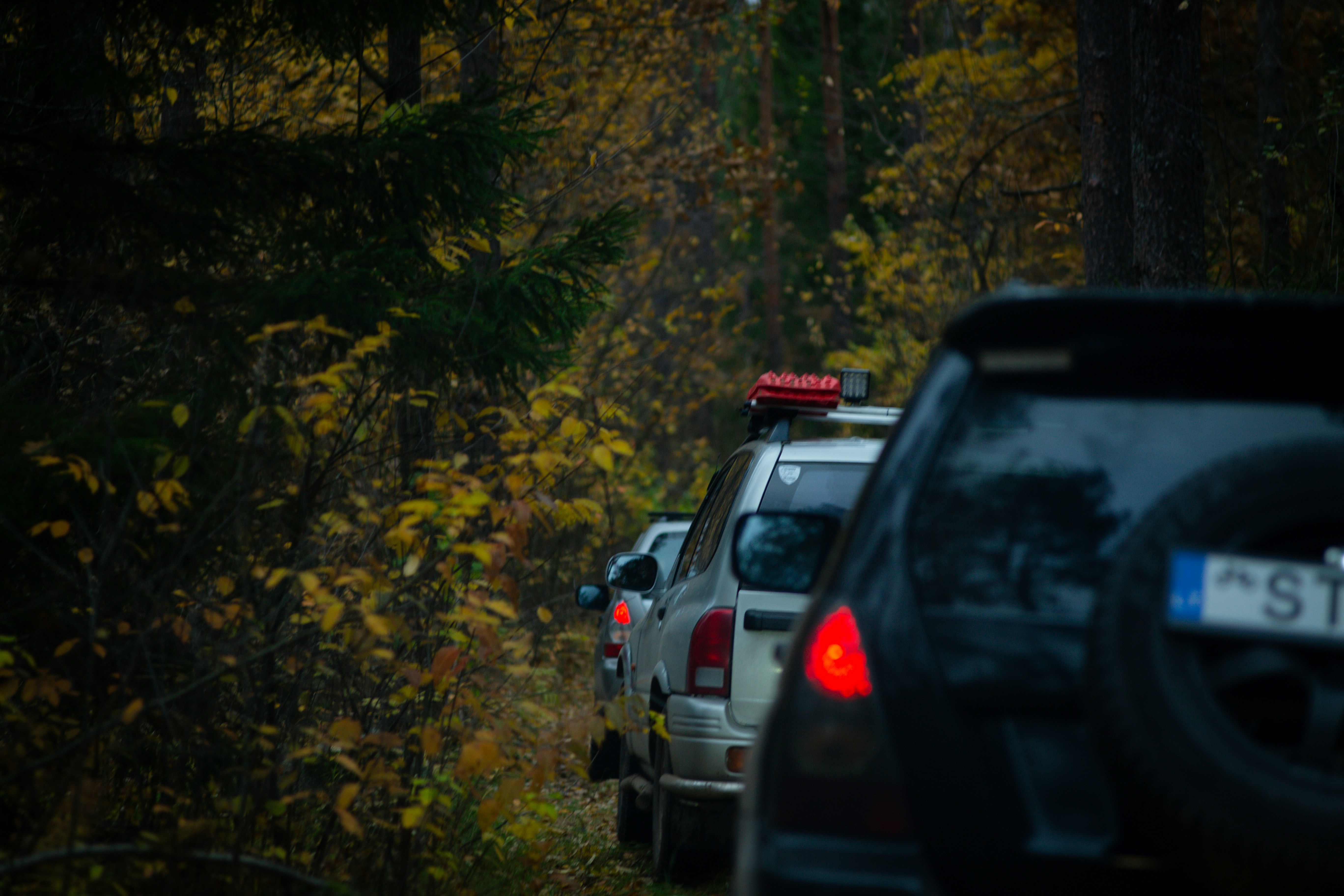 eine Reihe von Autos, die auf einer Straße im Wald geparkt sind