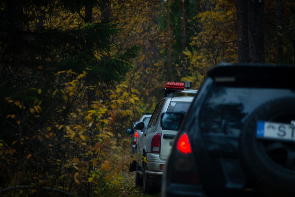 a line of cars parked on a road in the woods
