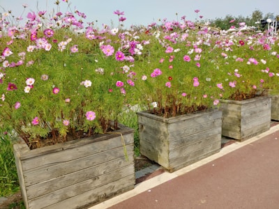 Large landscape planters arranged neatly in a garden, brimming with blooming flowers and leafy plants.