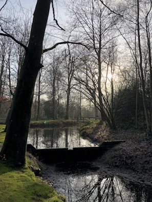 A quiet moment of reflection by a serene river, capturing resilience and hope.