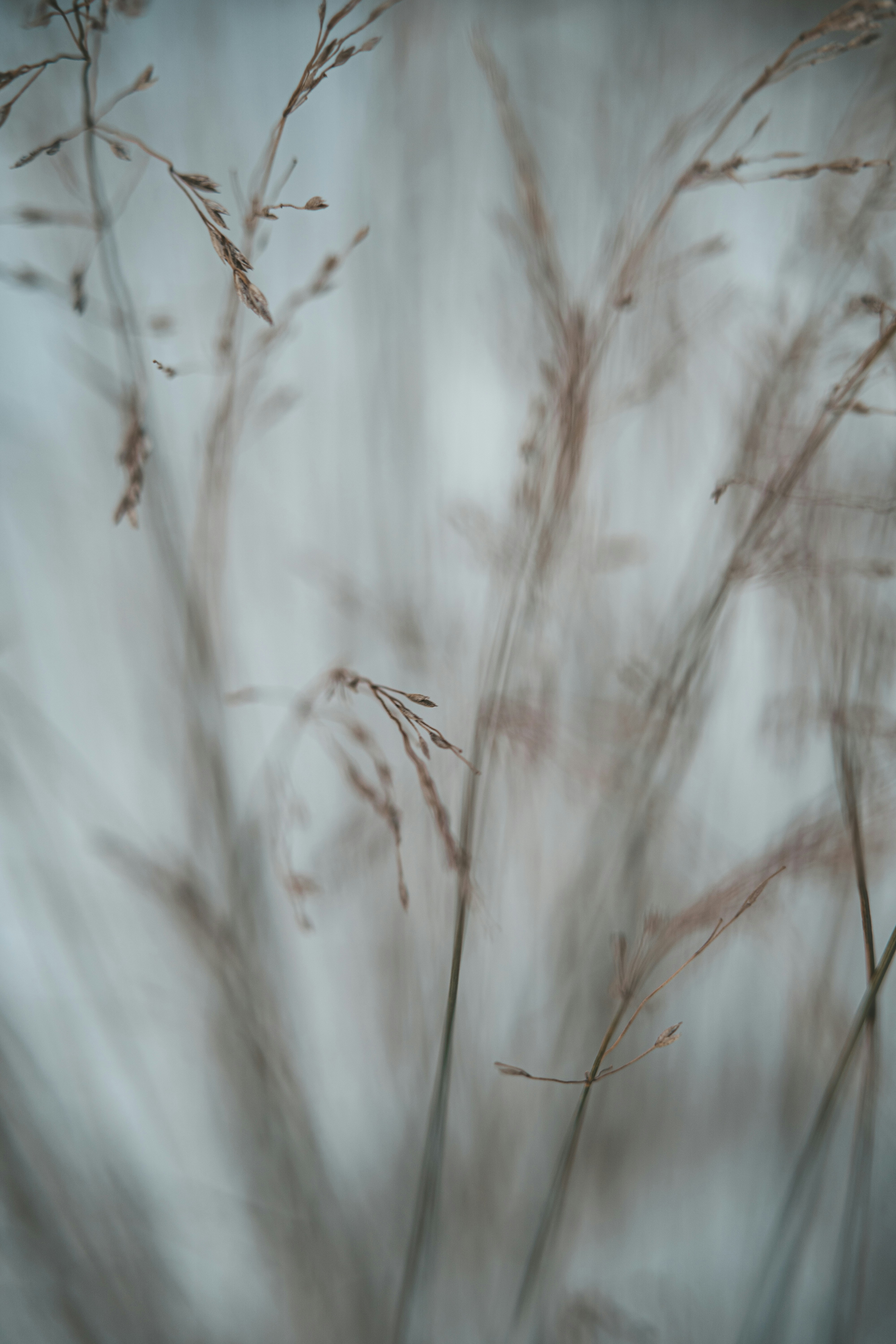 Photo by anamnesis33