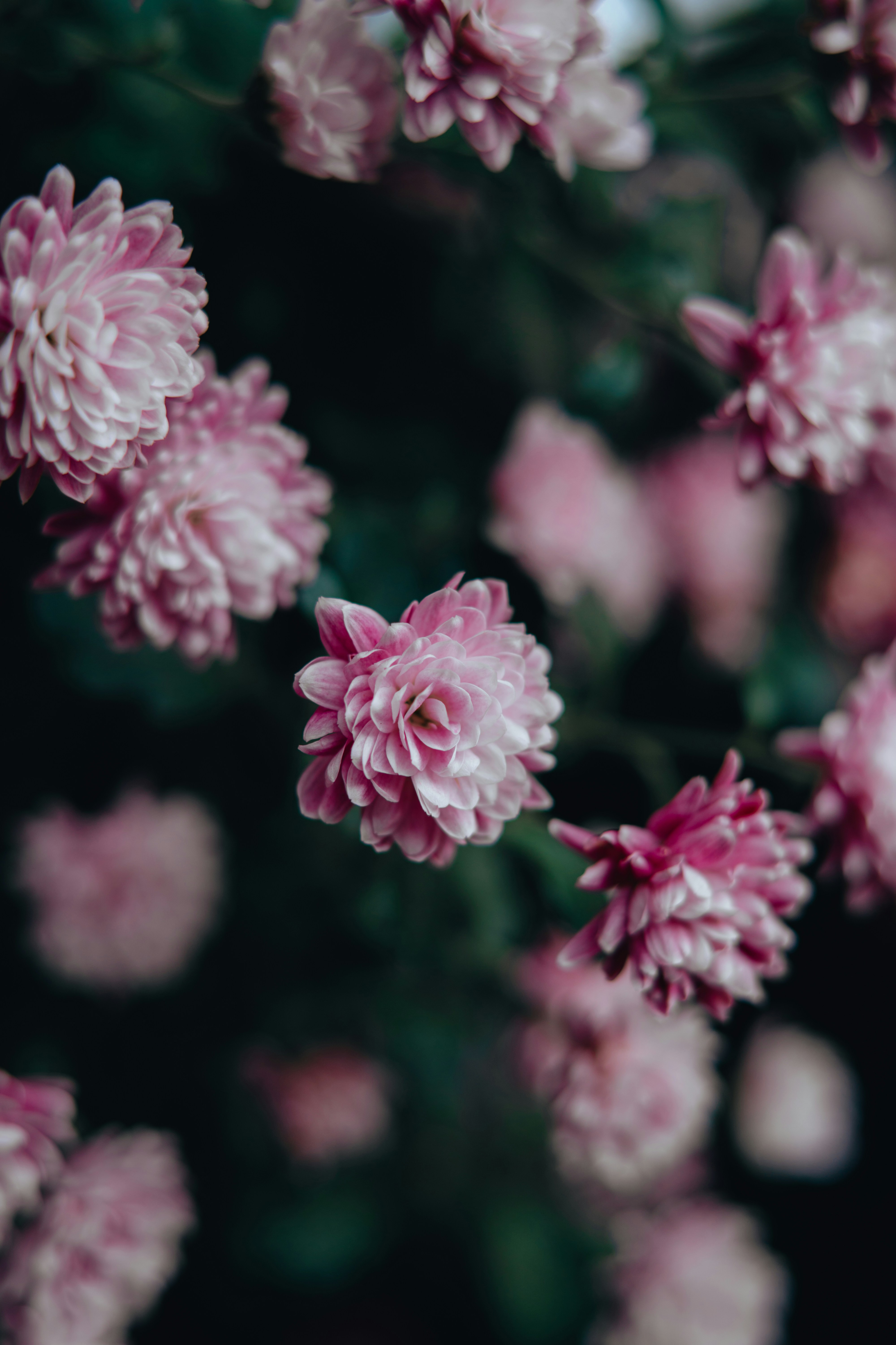 Photo by anamnesis33