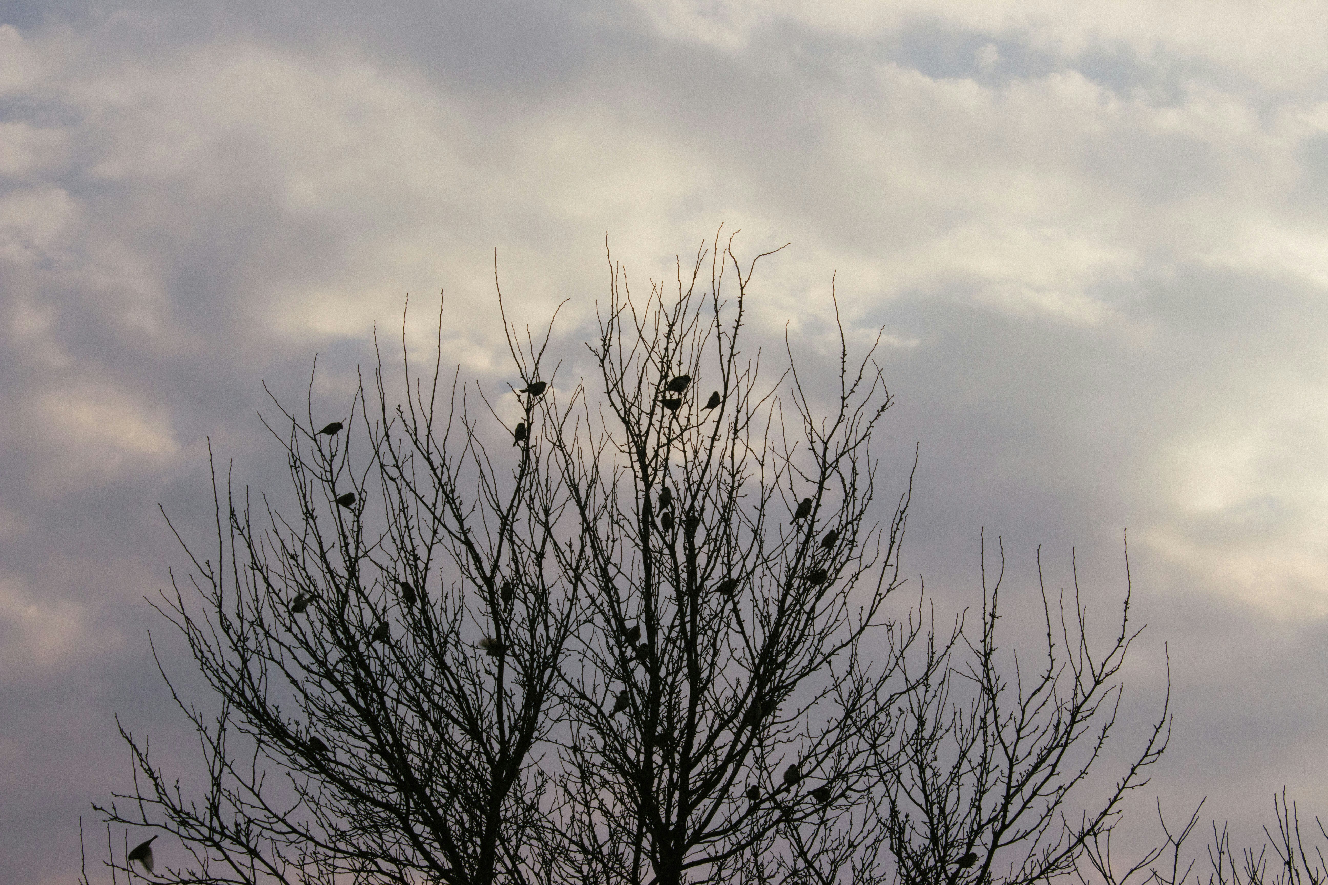 Photo by viktorsmoliak