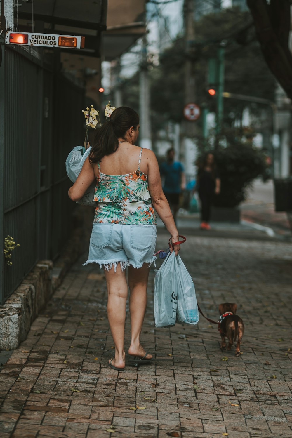 eine Frau, die mit einem Hund auf einem Bürgersteig spazieren geht