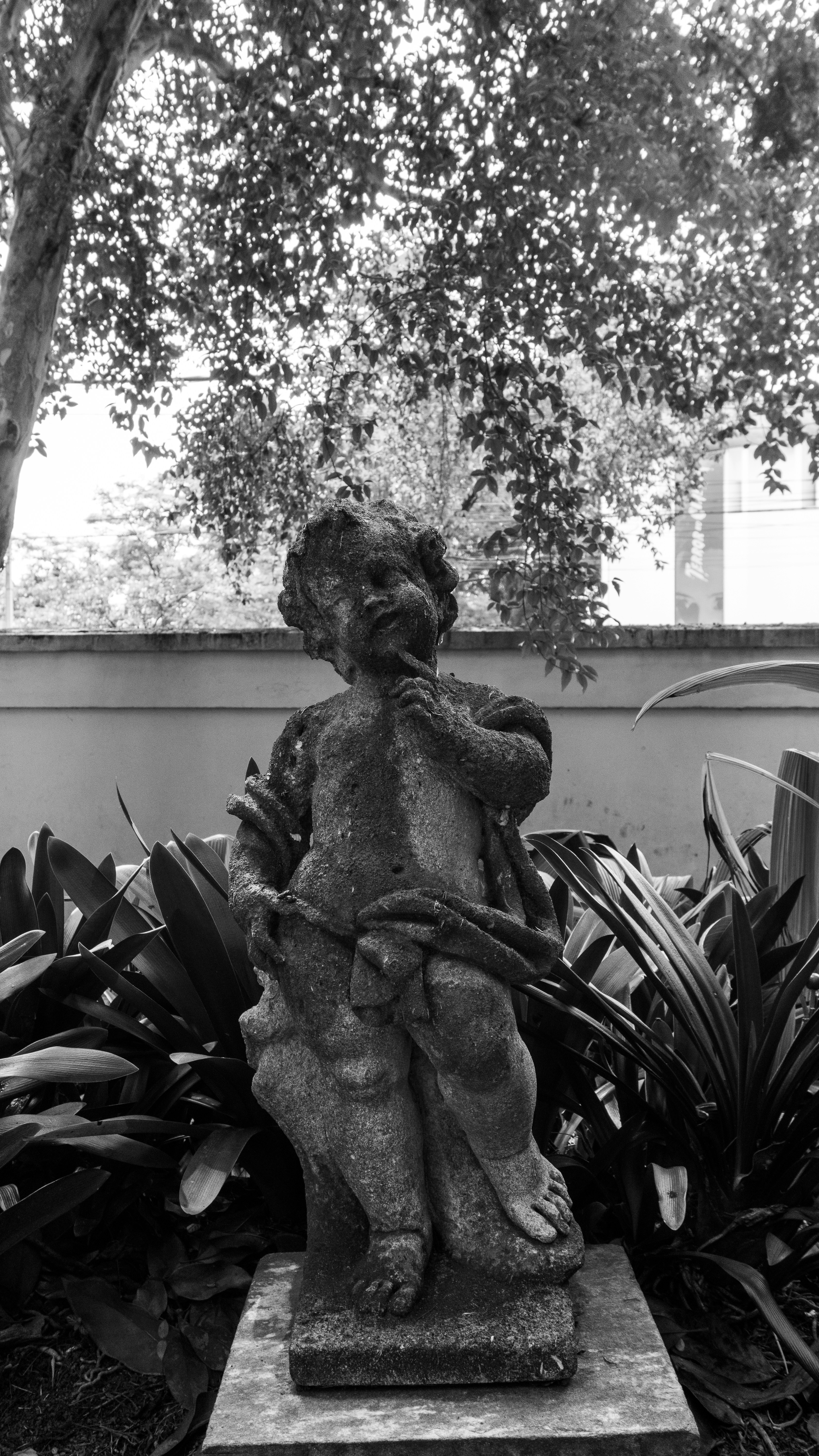une photo en noir et blanc d’une statue dans un jardin