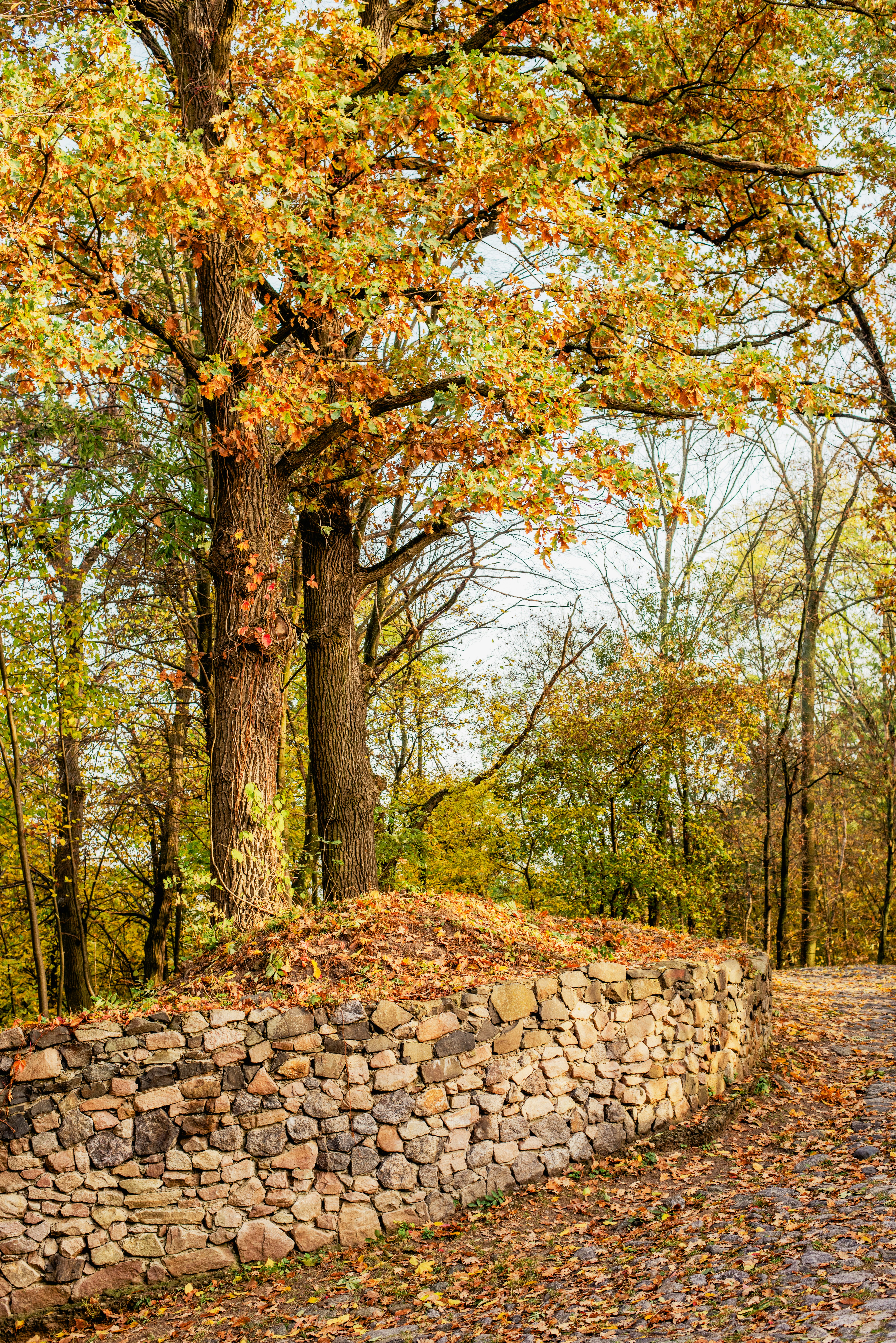 Photo by eugenivy_now