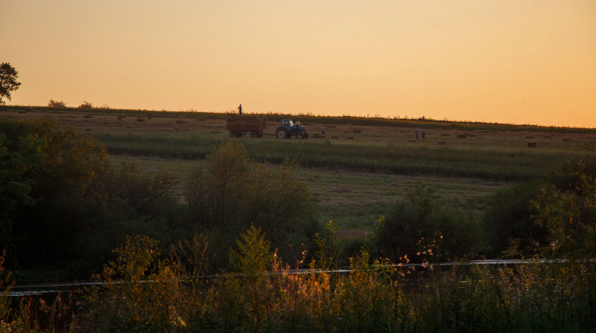 Sunset over a peaceful farm landscape with fences, cattle, and a tractor in the distance.