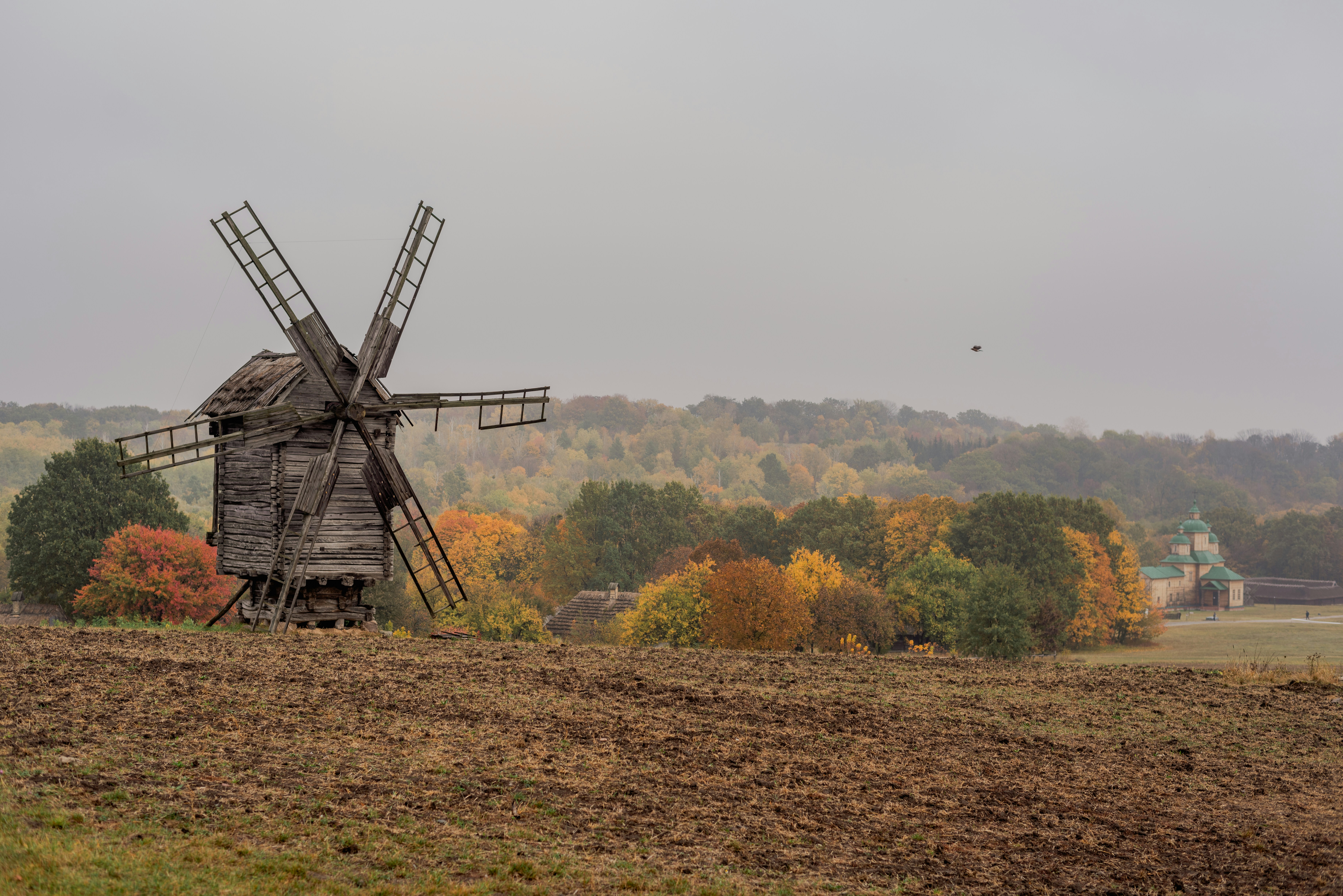 Photo by eugenivy_now