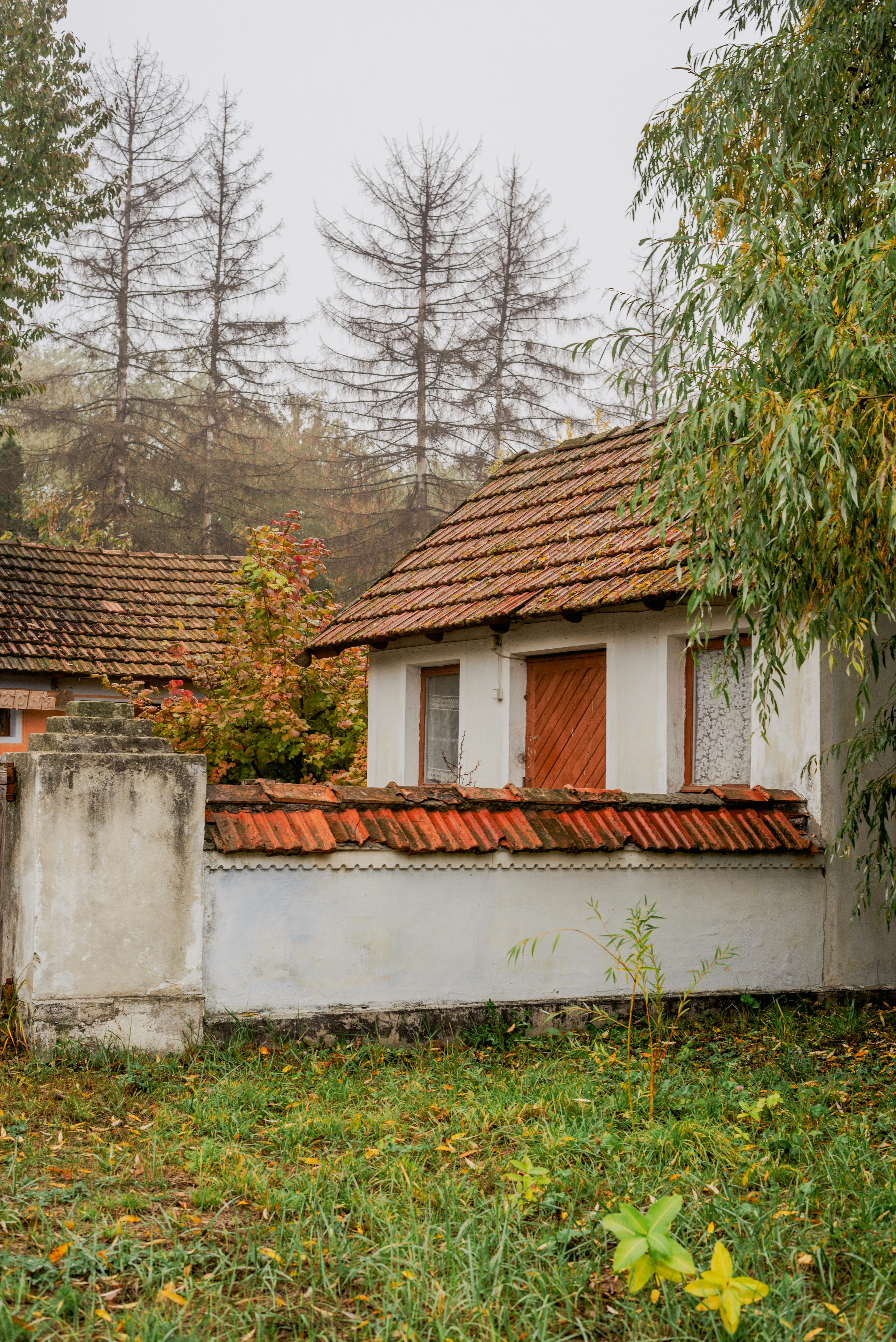 The Ultimate Guide to Owning or Renting Your Ideal Senior Bungalow