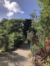 A serene Brazilian garden pathway lined with vibrant tropical plants under a clear blue sky.