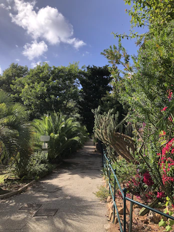 A serene permaculture garden with native plants and rustic pathways under a bright sky.