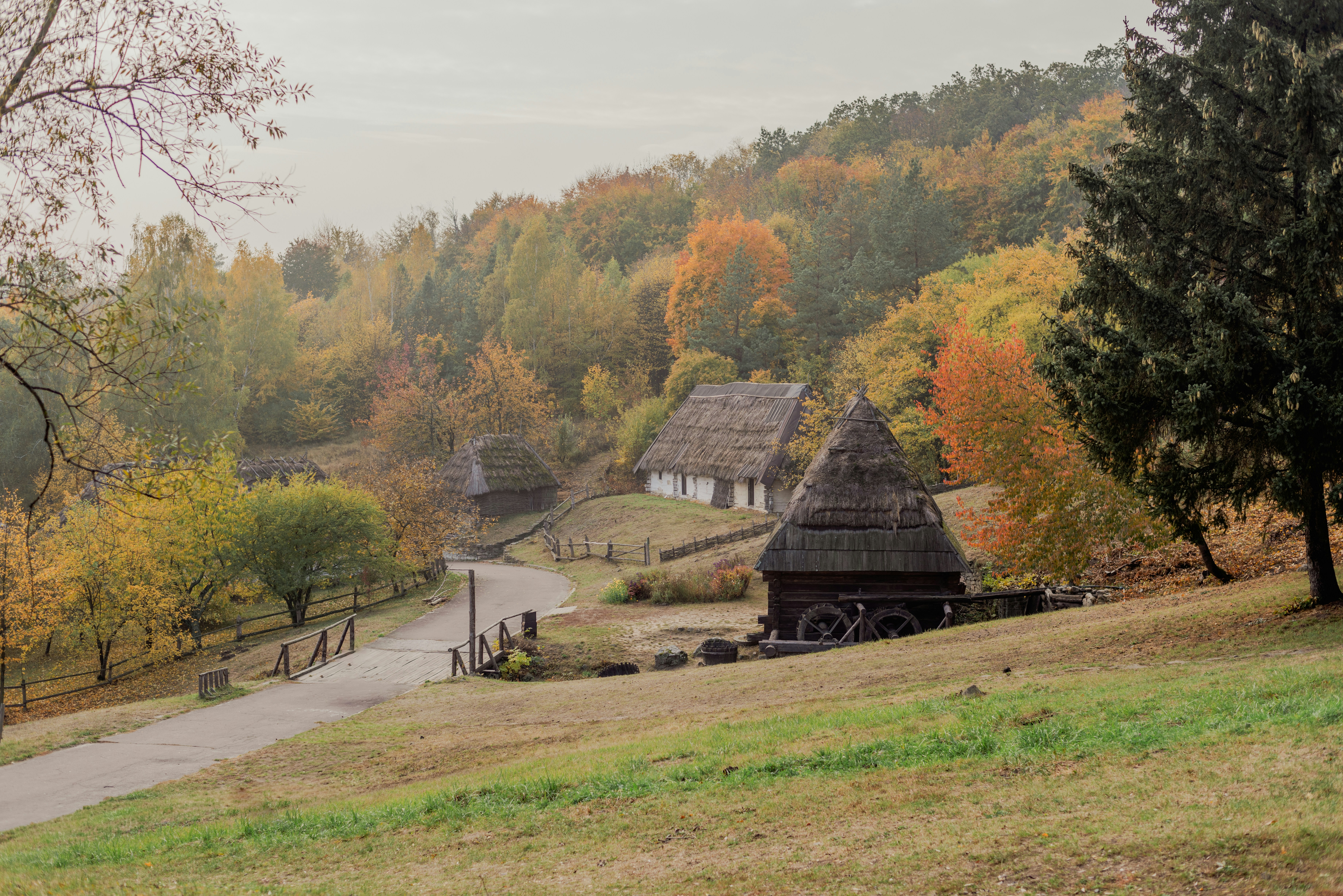 Village et Forêt