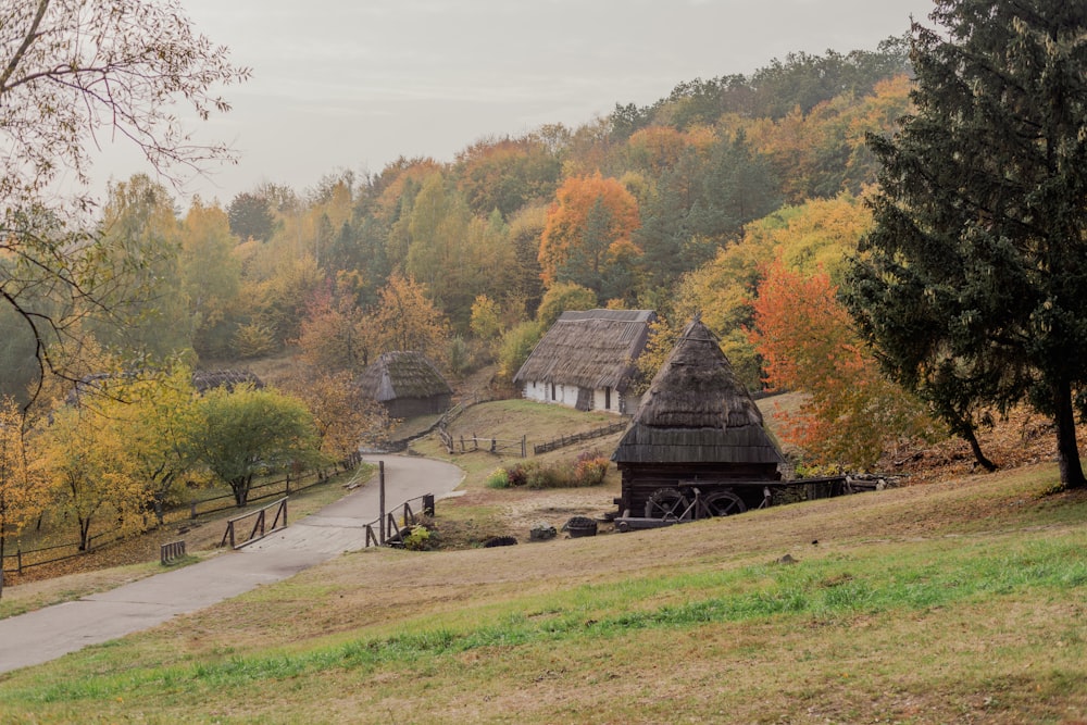 a small village in the middle of a forest