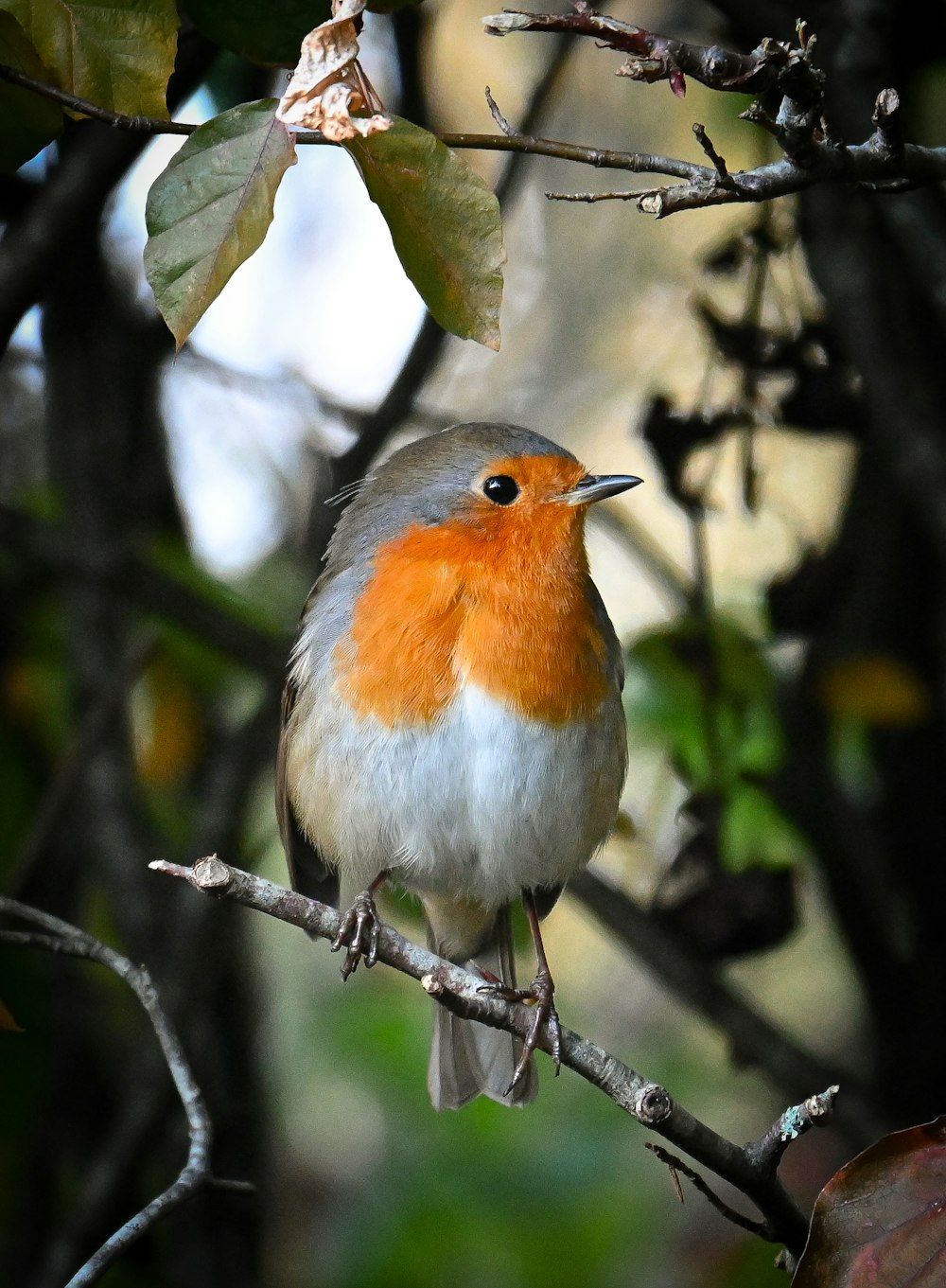 a small bird perched on a tree branch