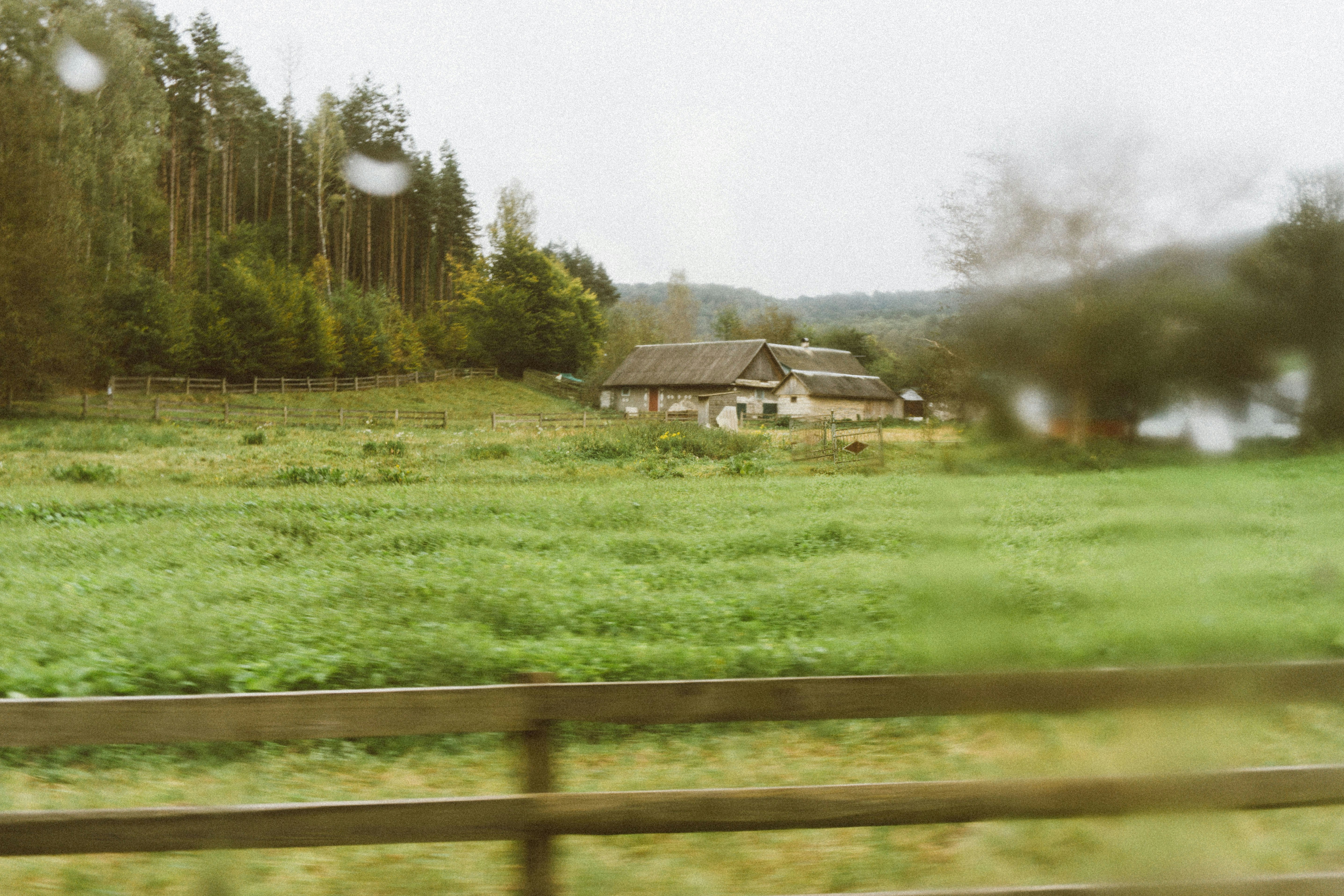 Photo by viktorsmoliak