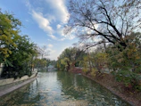 A peaceful riverside park in Sakarya during autumn with colorful leaves