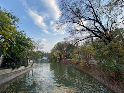 A peaceful riverside park in Sakarya during autumn with colorful leaves