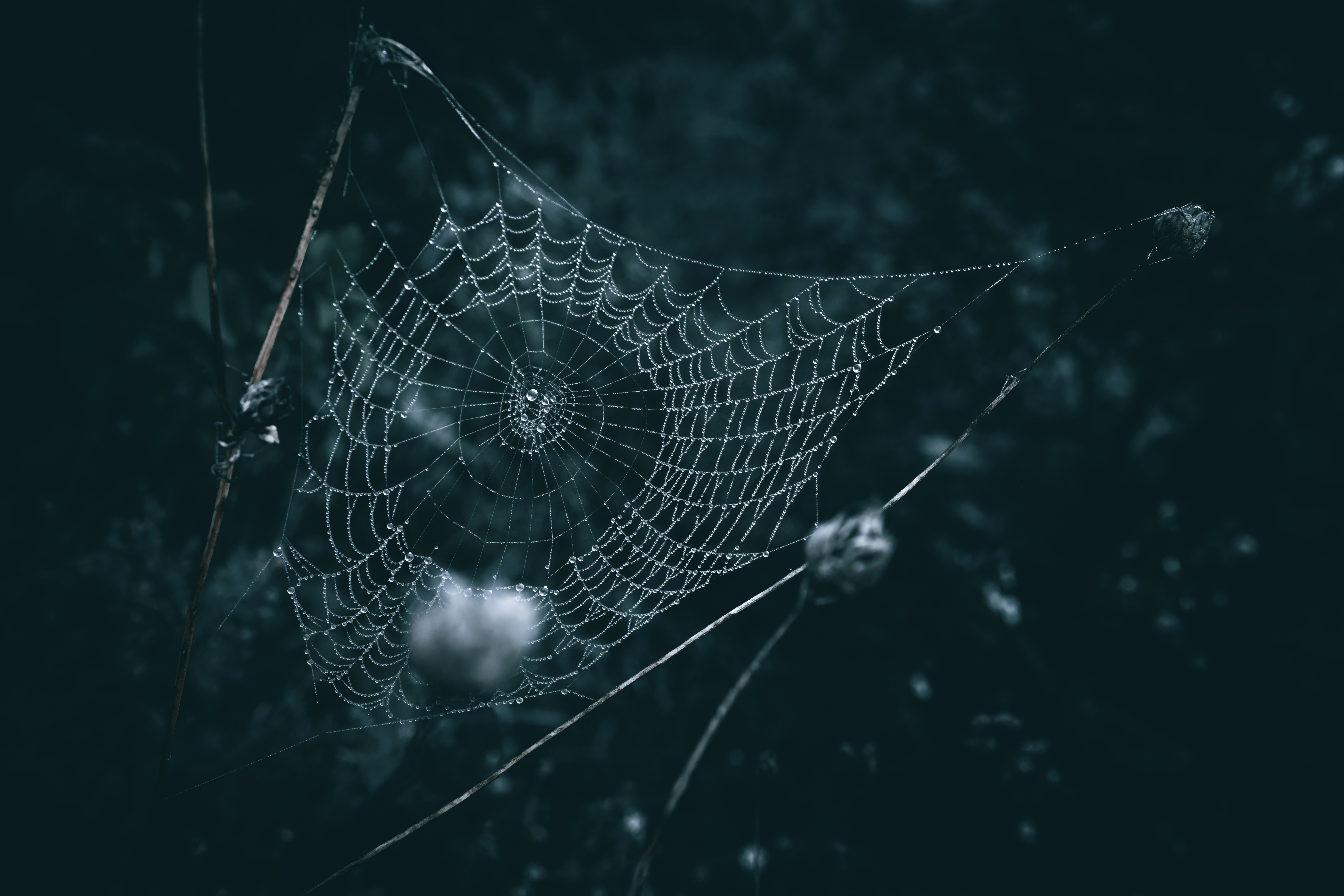 The 'Efficiency Trap' That Kills Scaling: A Diagnostic for the Chronos-Kairos Conflict