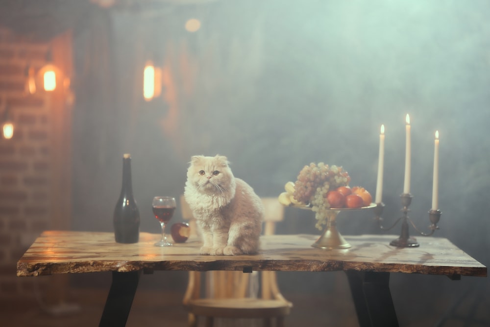 a cat is sitting on a table with candles
