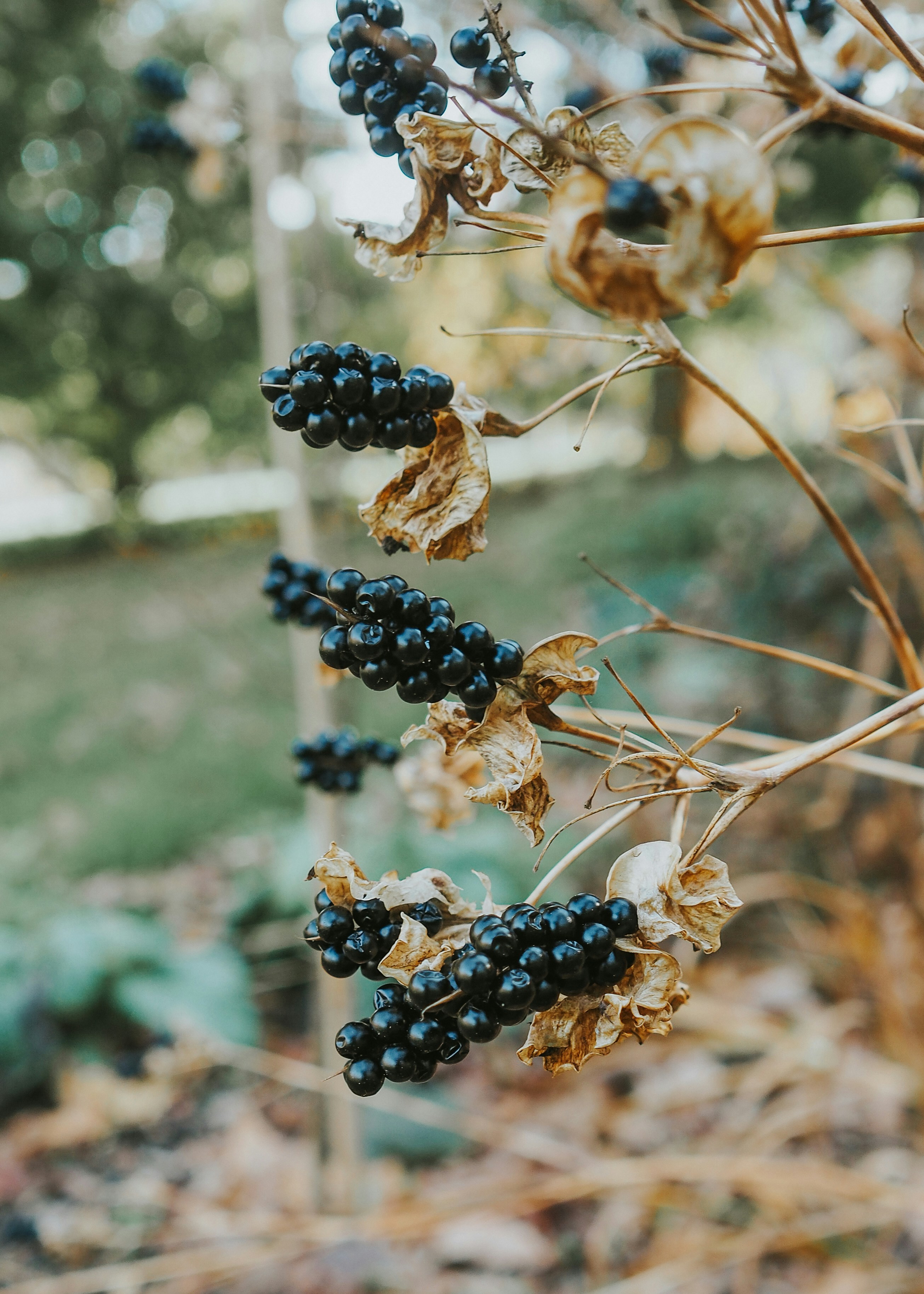 Photo by fieldworkframes