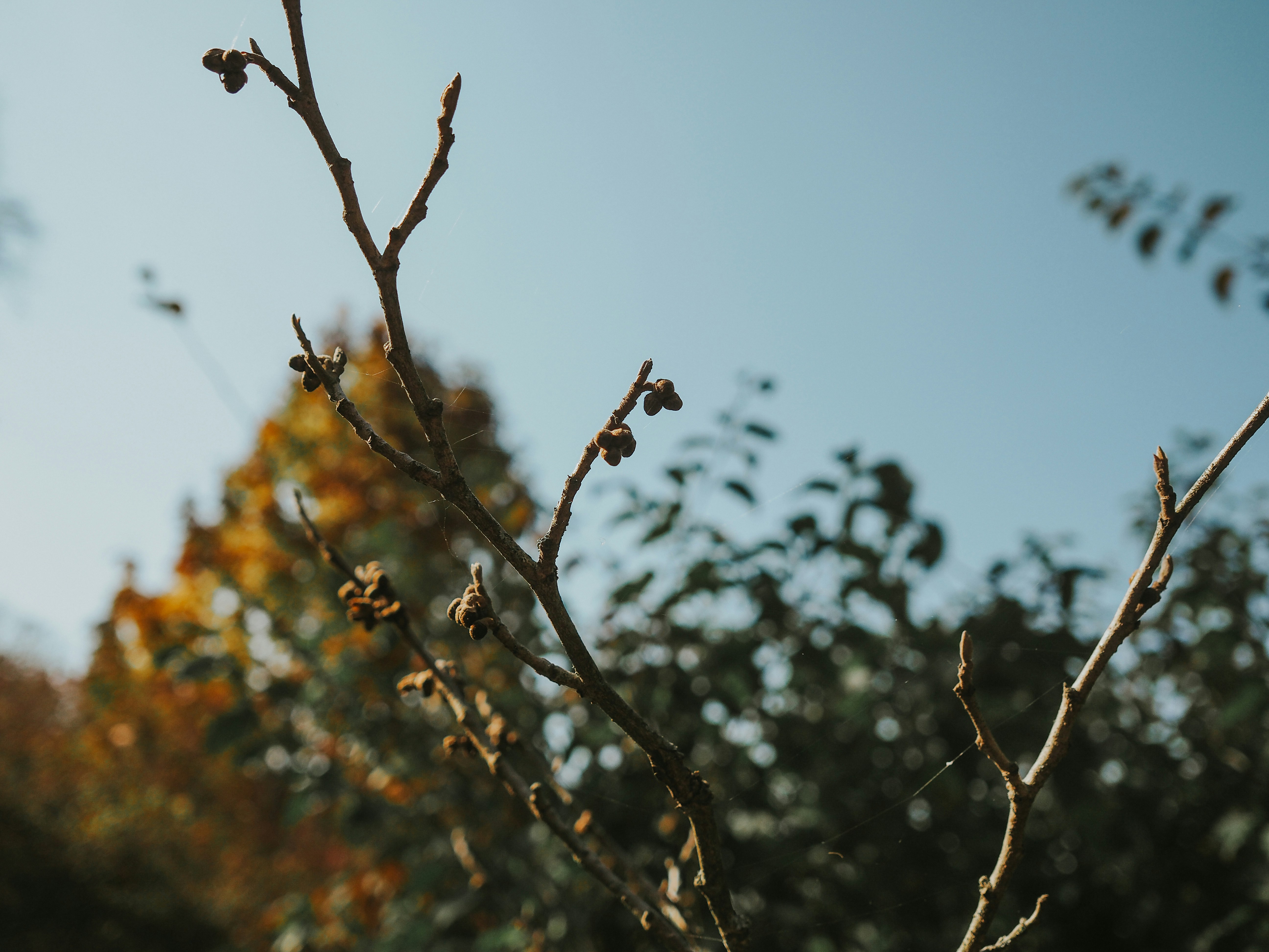 Photo by fieldworkframes