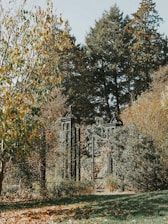 Close-up of a craftsman installing a sleek dark green metal gate in a sunny yard.
