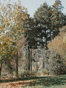 A beautiful garden gate with electric opening mechanism surrounded by greenery.