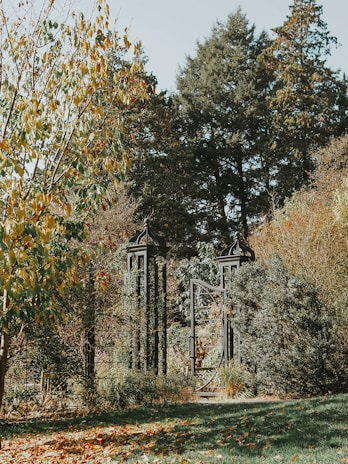 Close-up of a craftsman installing a sleek dark green metal gate in a sunny yard.