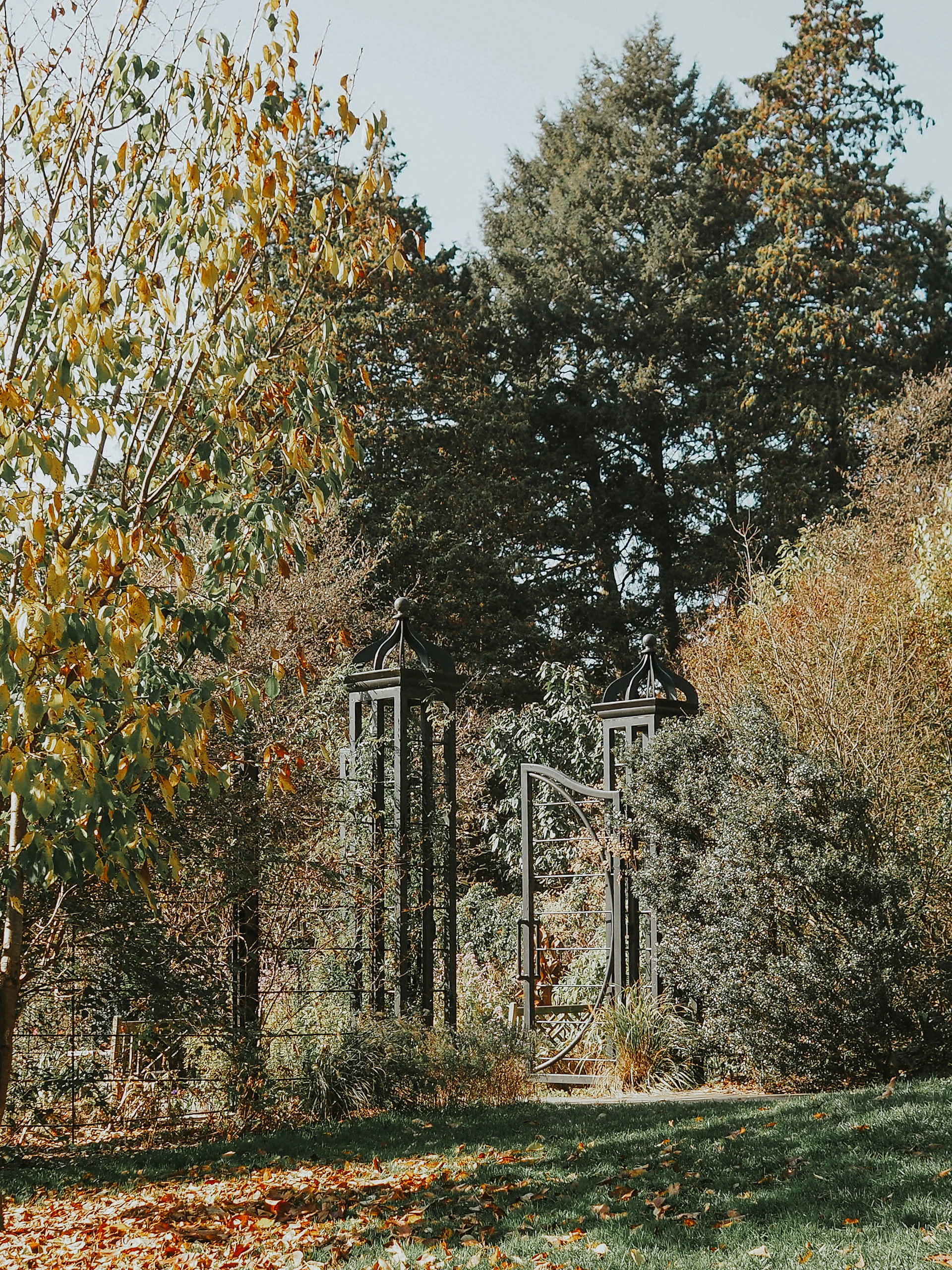 An outdoor scene featuring a sleek metal garden gate with intricate patterns, surrounded by lush greenery under soft sunlight.