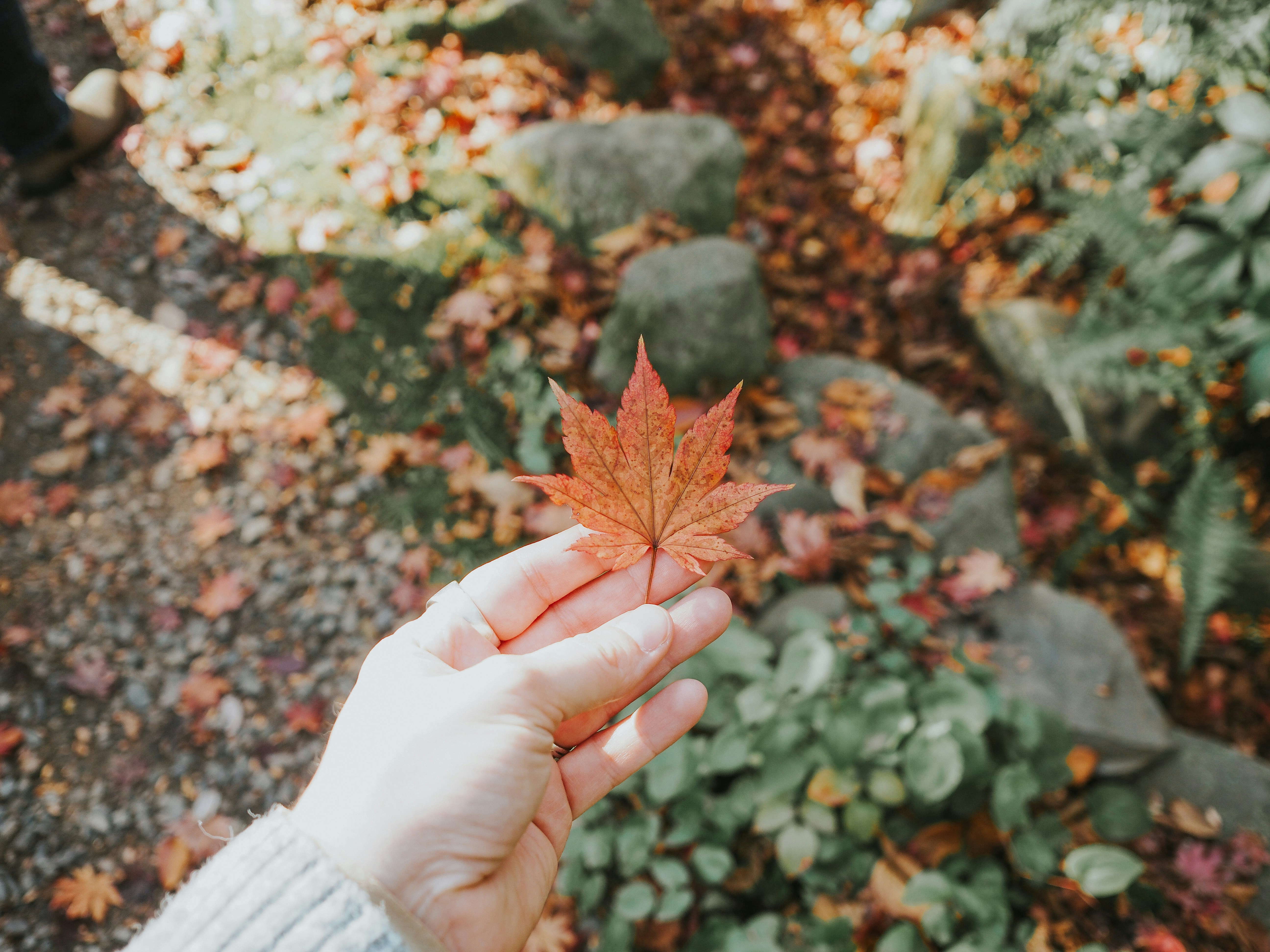 Photo by fieldworkframes