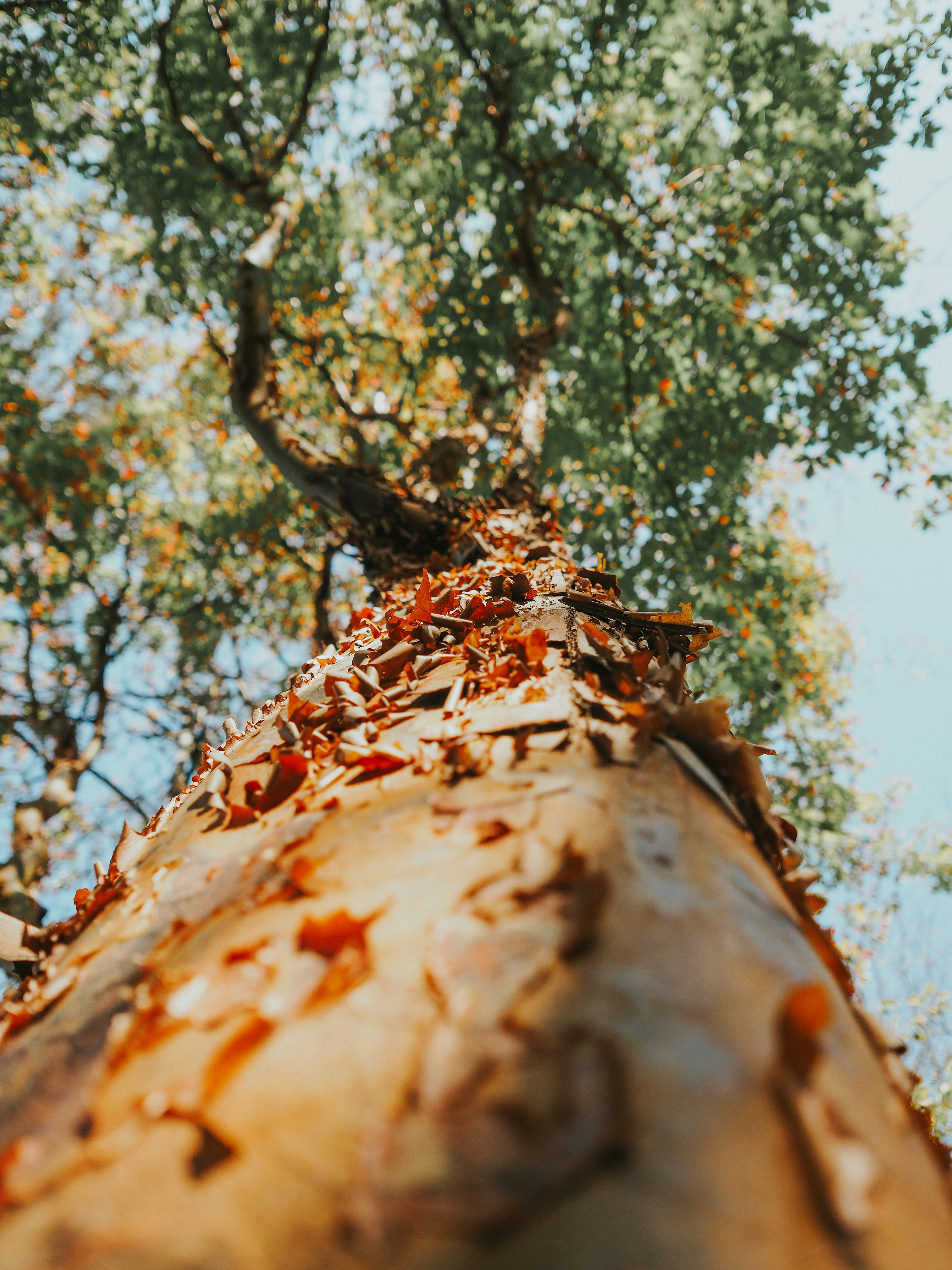 Photo by fieldworkframes