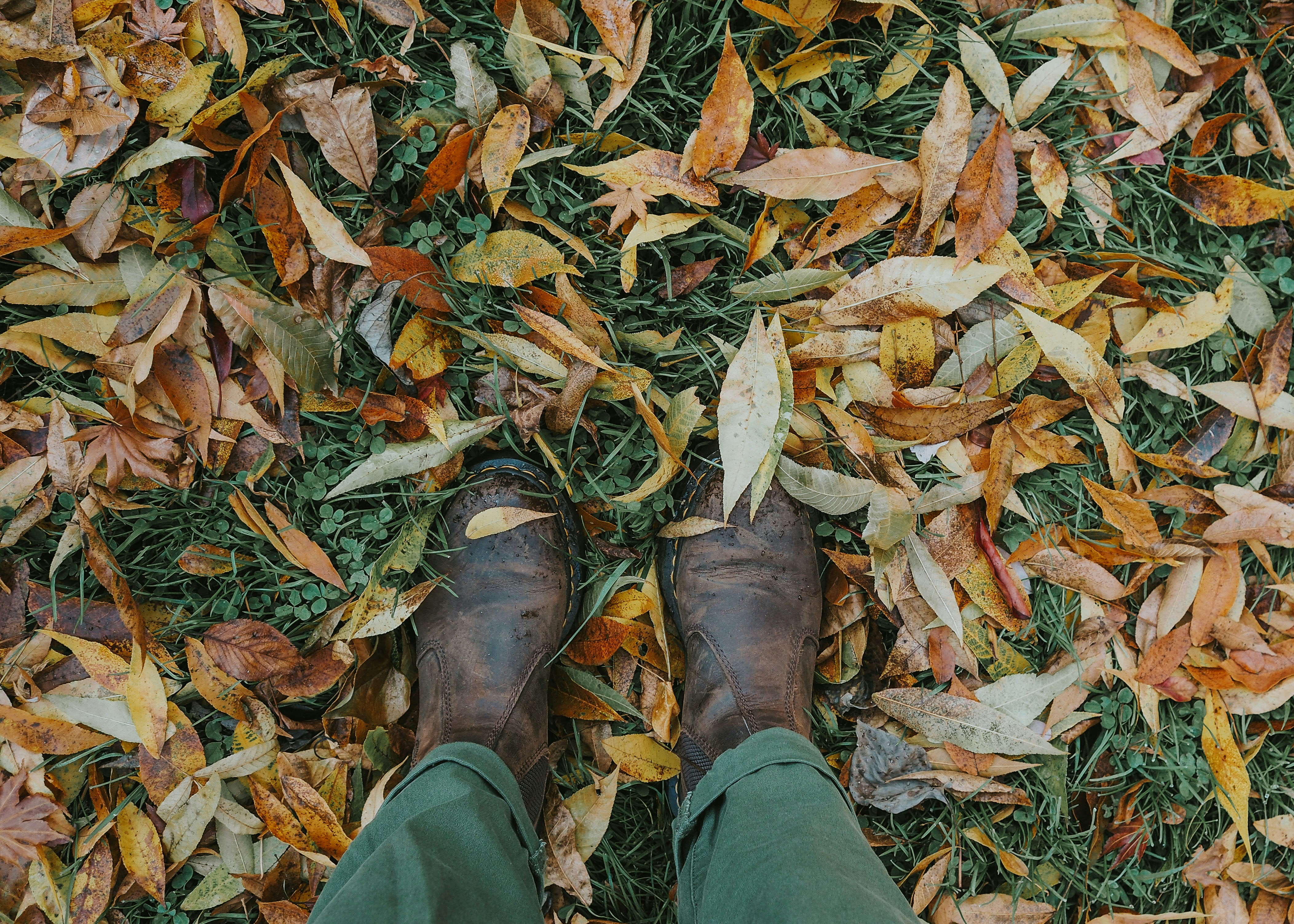 Photo by fieldworkframes