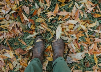 Tall boots standing against a backdrop of autumn leaves.