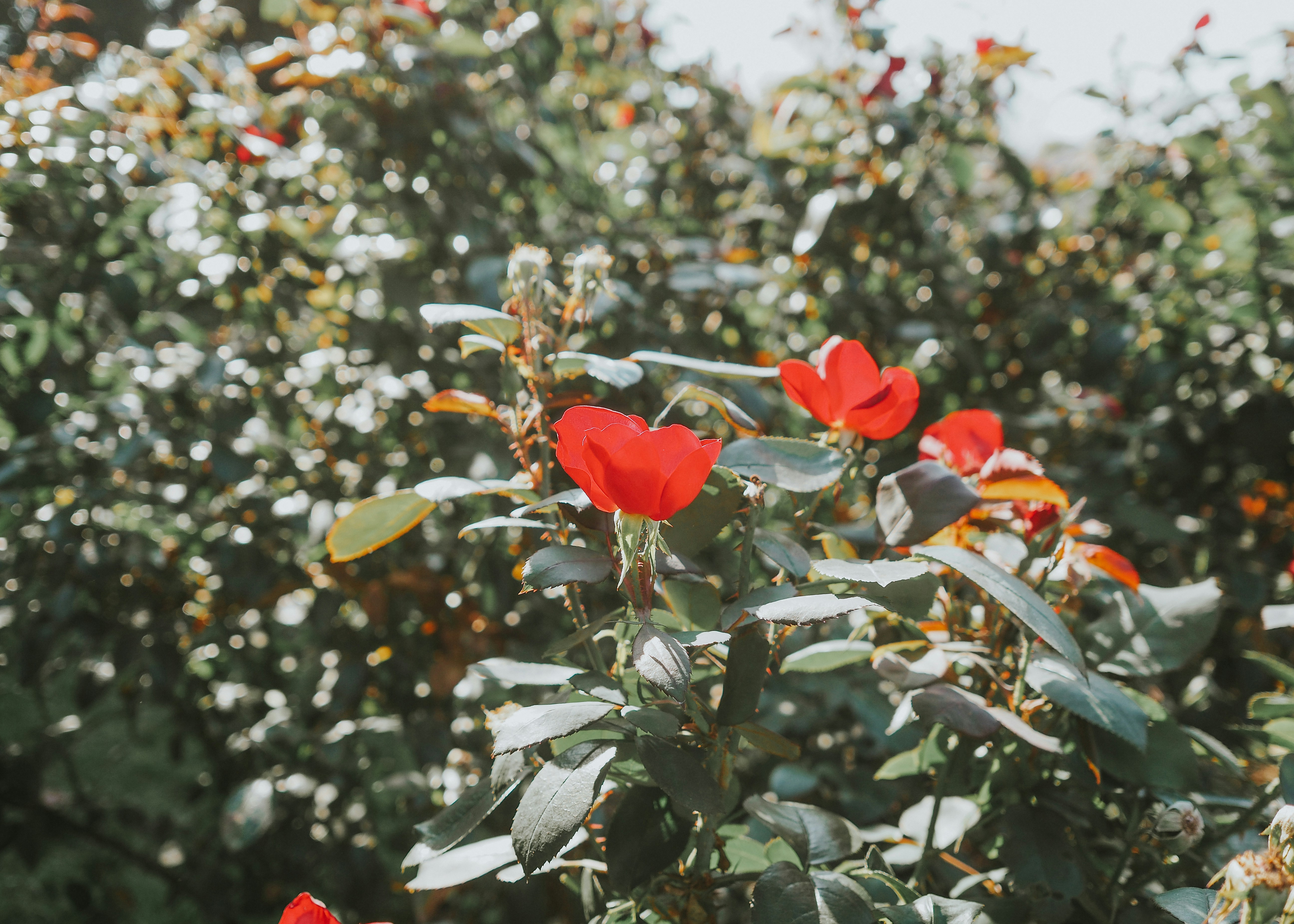 Photo by fieldworkframes