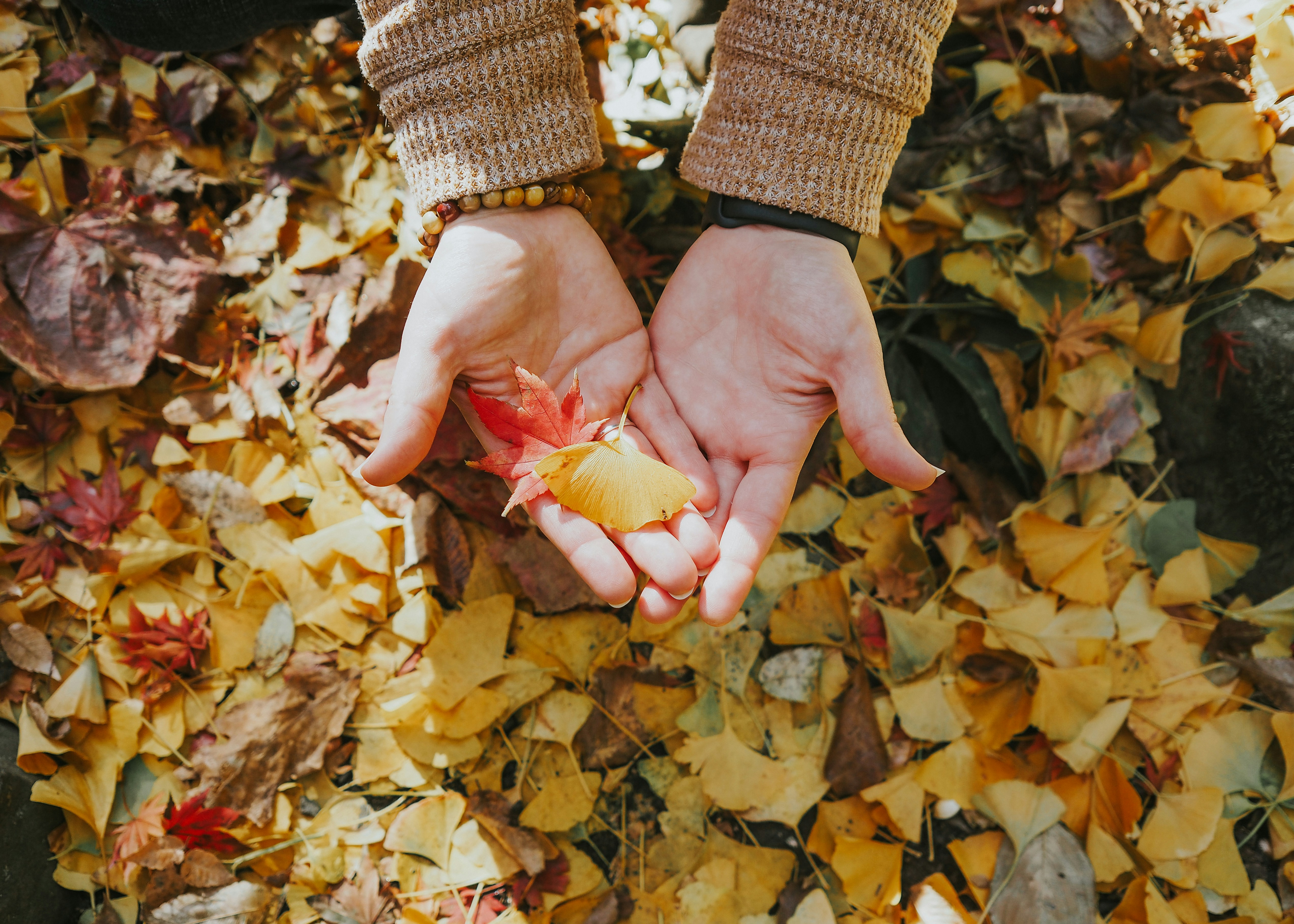 Photo by fieldworkframes