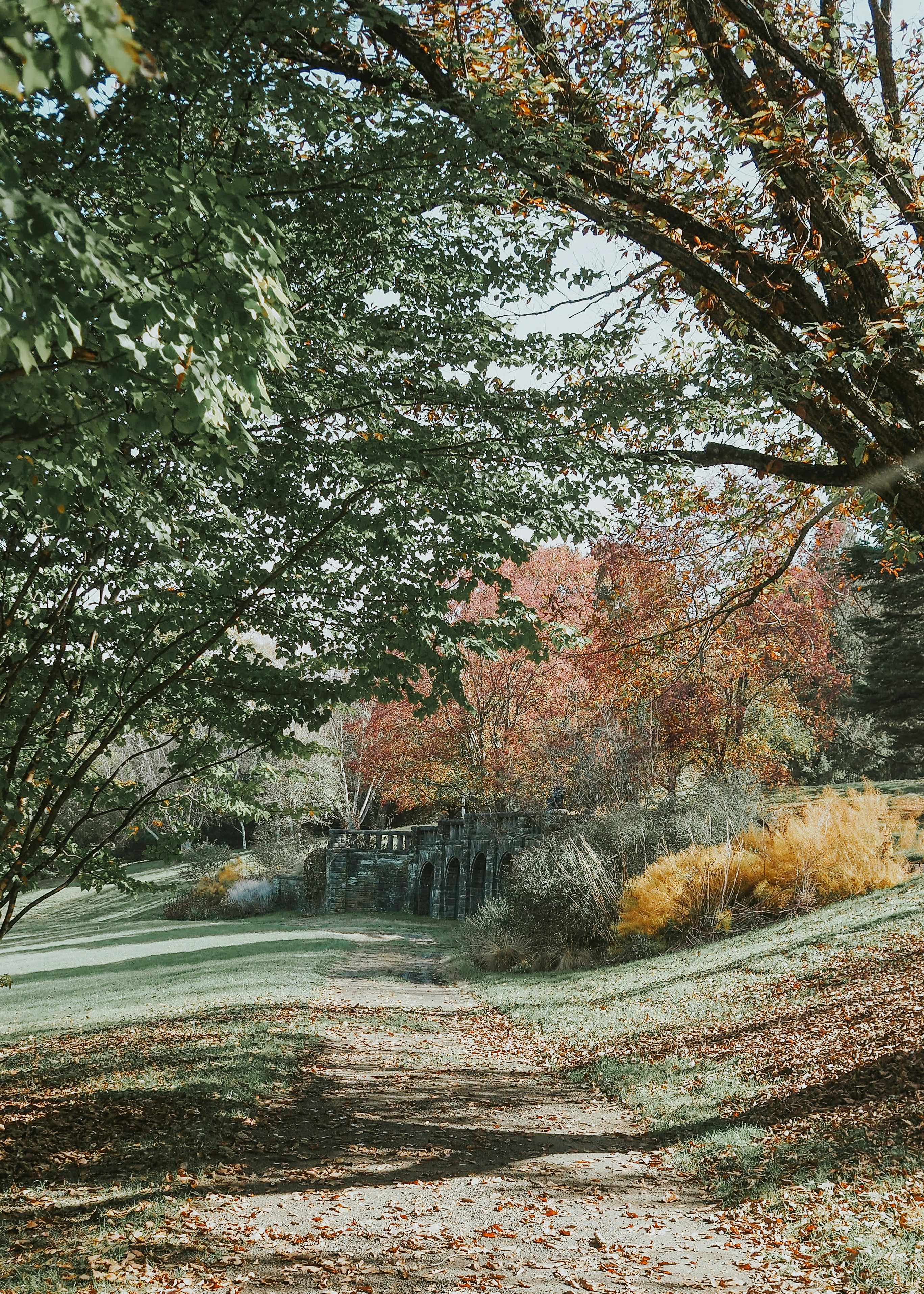 Photo by fieldworkframes