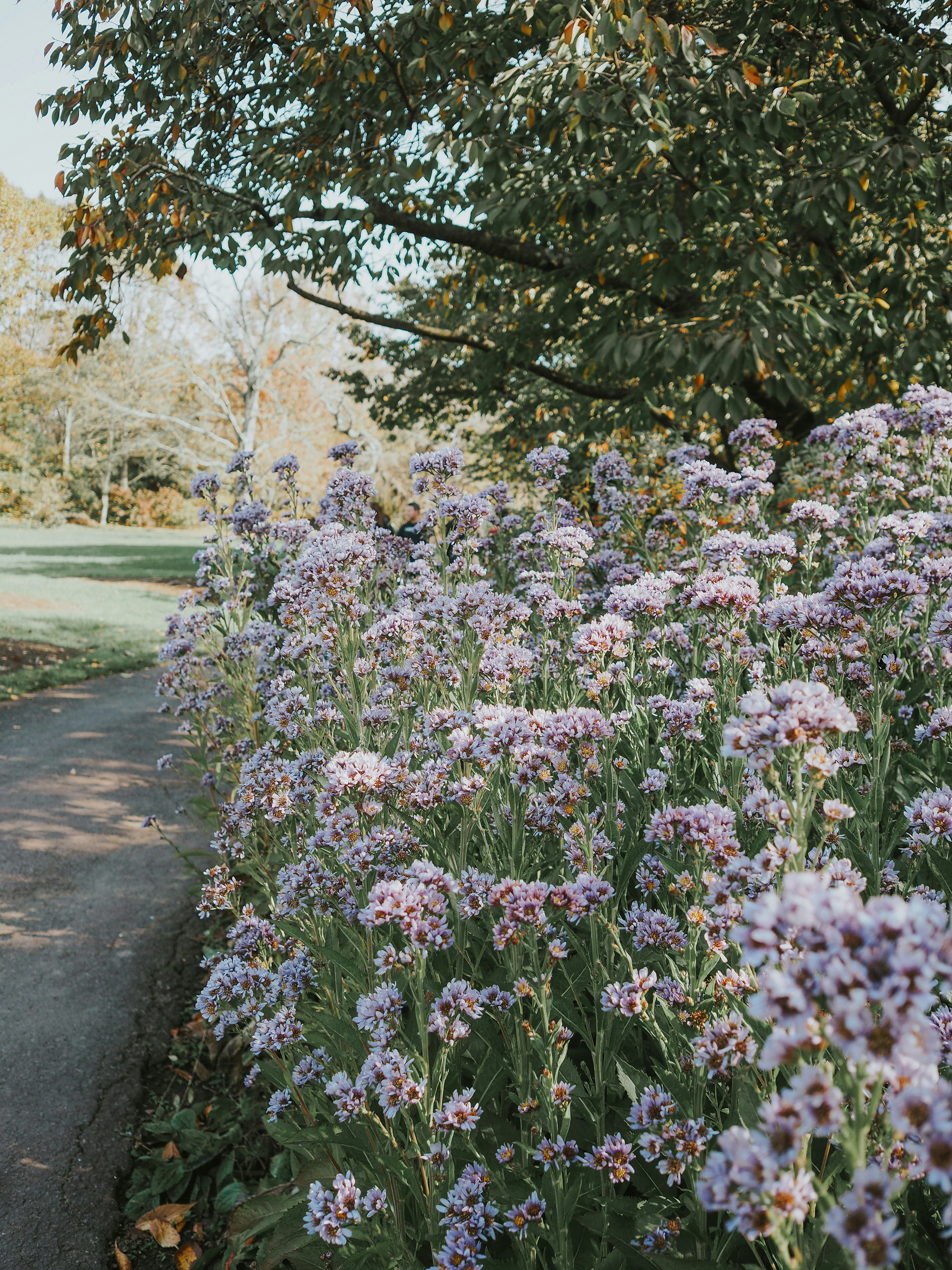 Photo by fieldworkframes